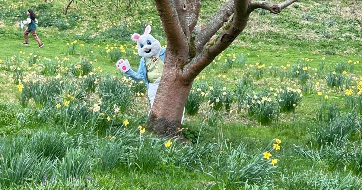 Easter Bunny Sunday Lunch at Seckford Hall