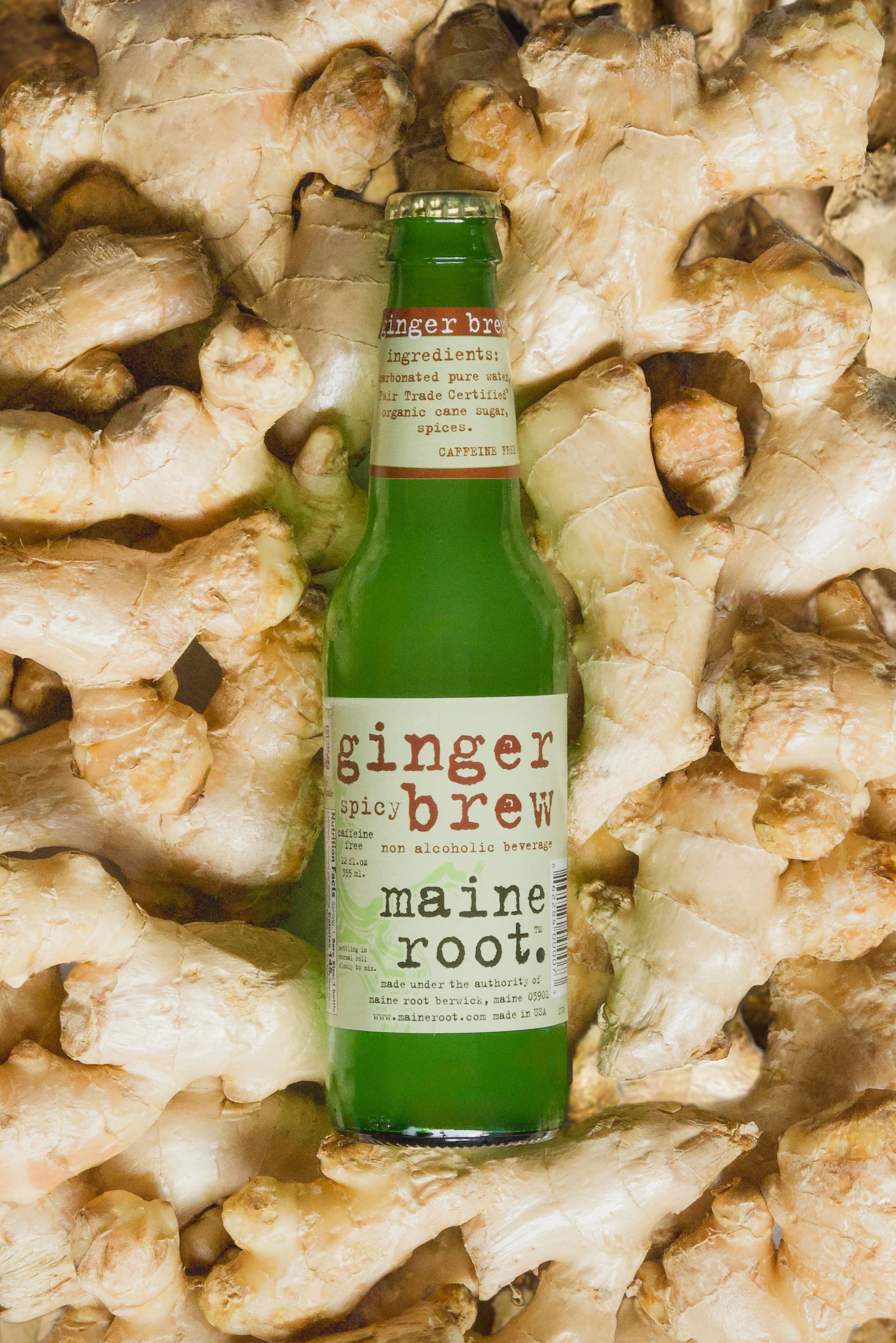 Maine Root GB.jpg