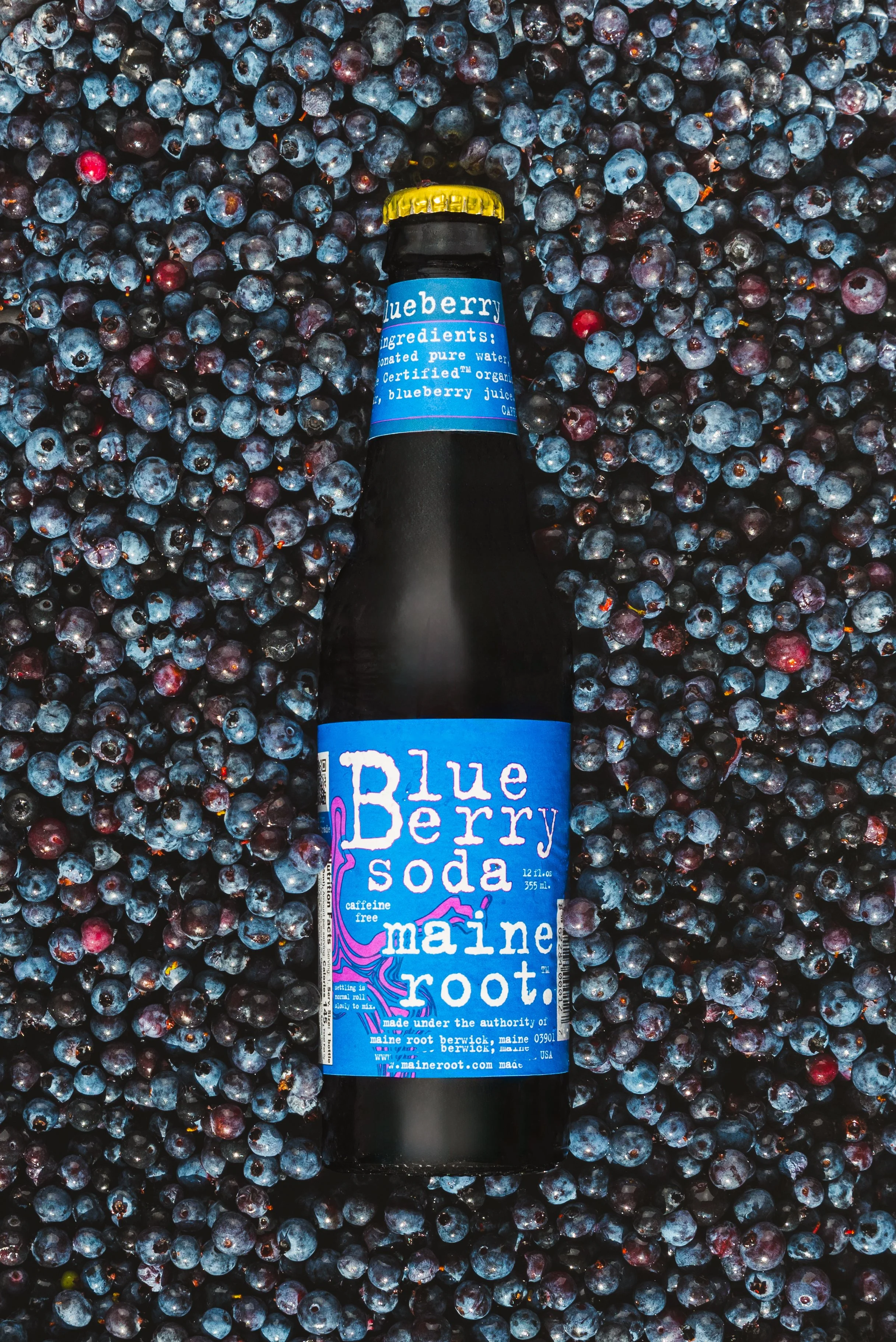Maine Root Bottle BB.jpg