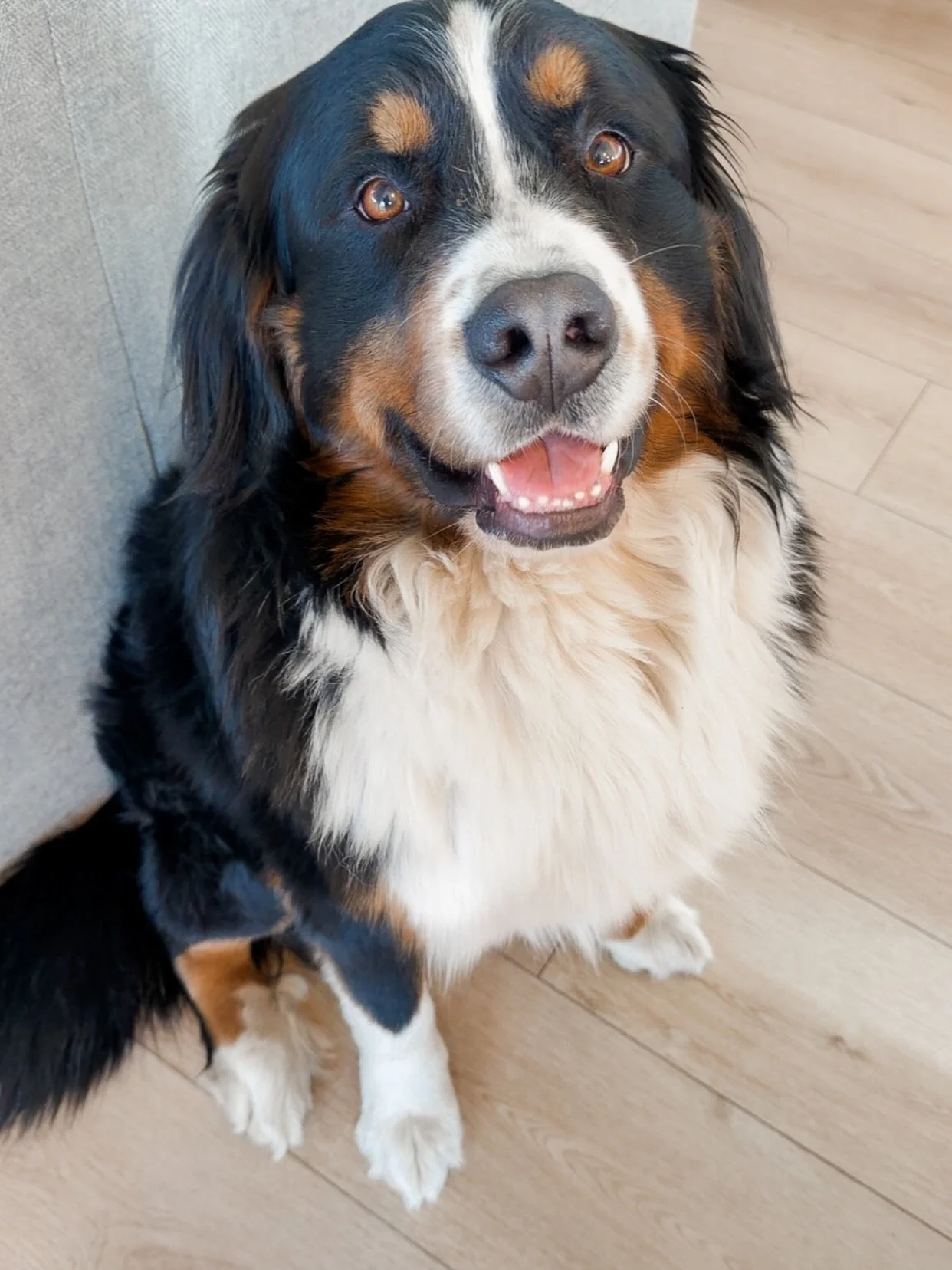 Happy 3rd birthday to our Baler 🫶🏻