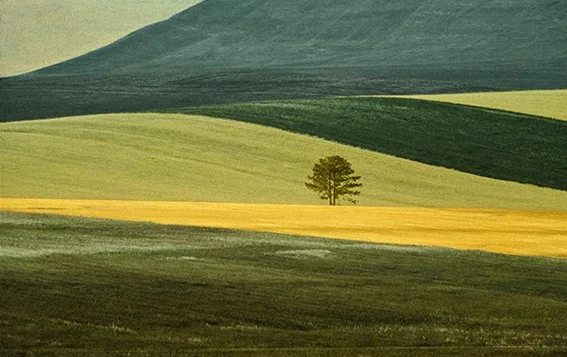 FRANCO FONTANA© BASILICATA 1978 PHD.jpg