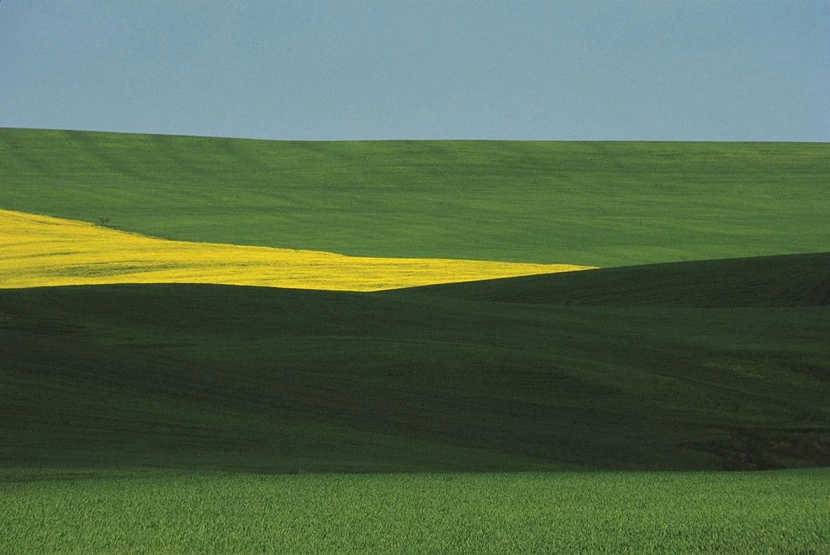 Fontana Basilicata italia 1995.jpg