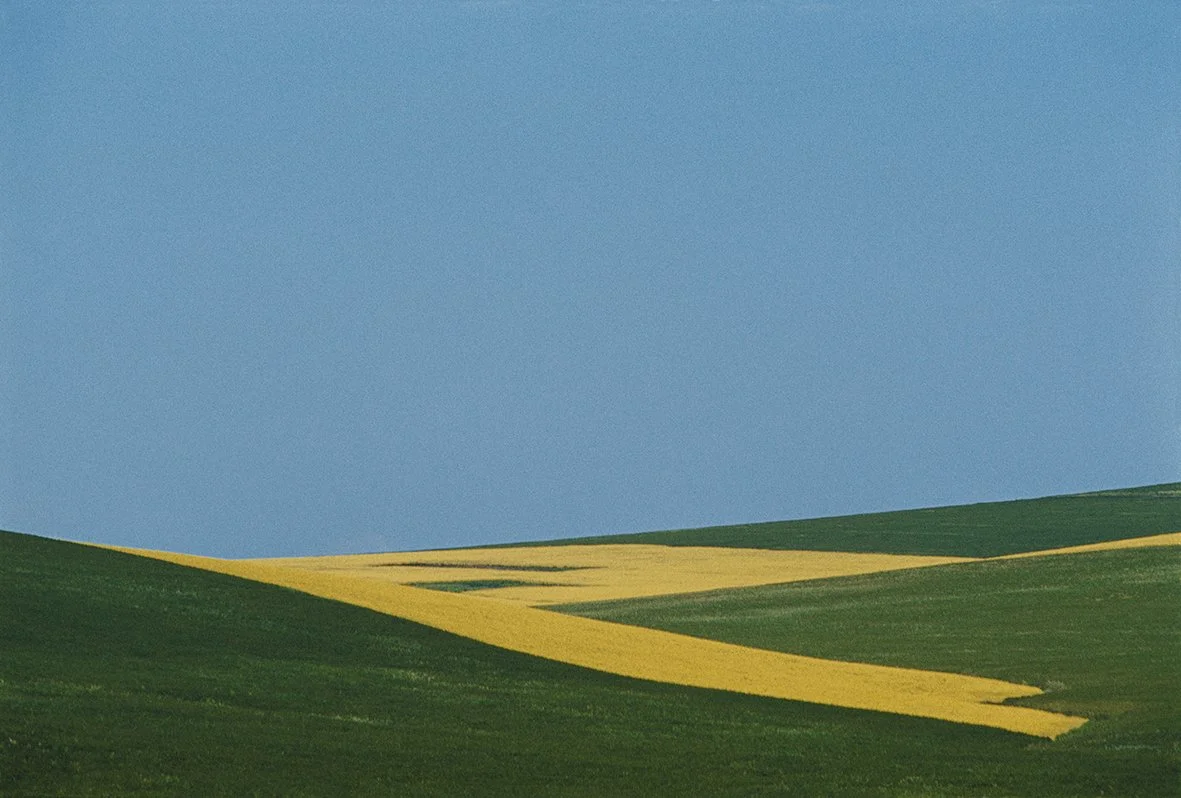 FRANCO FONTANA© BASILICATA 1978 CCS.jpg