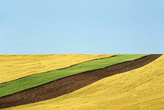 FRANCO FONTANA© BASILICATA 1978 FWR PIATTA.jpg