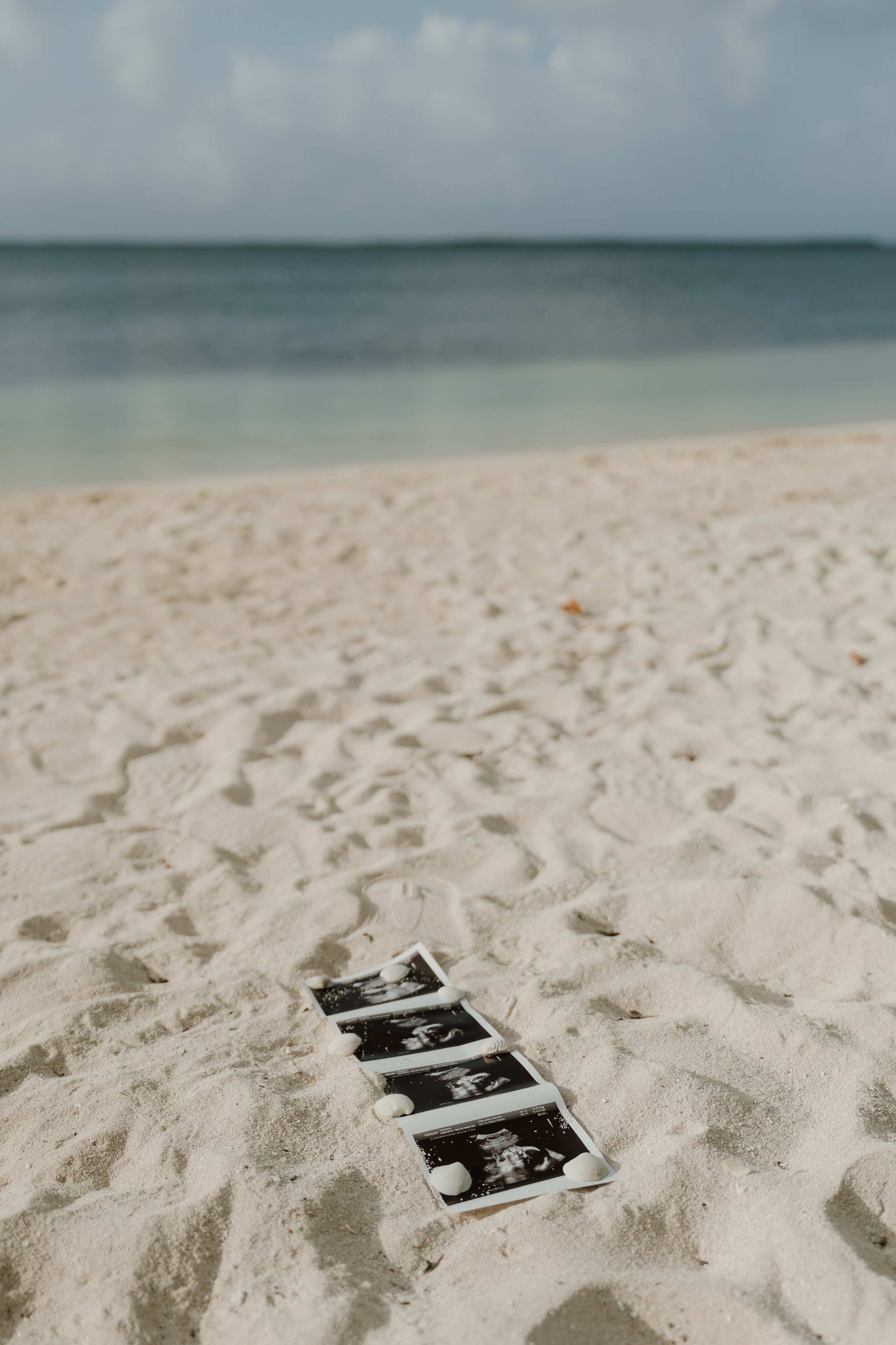 AliceGostickPhotography-01045.jpg