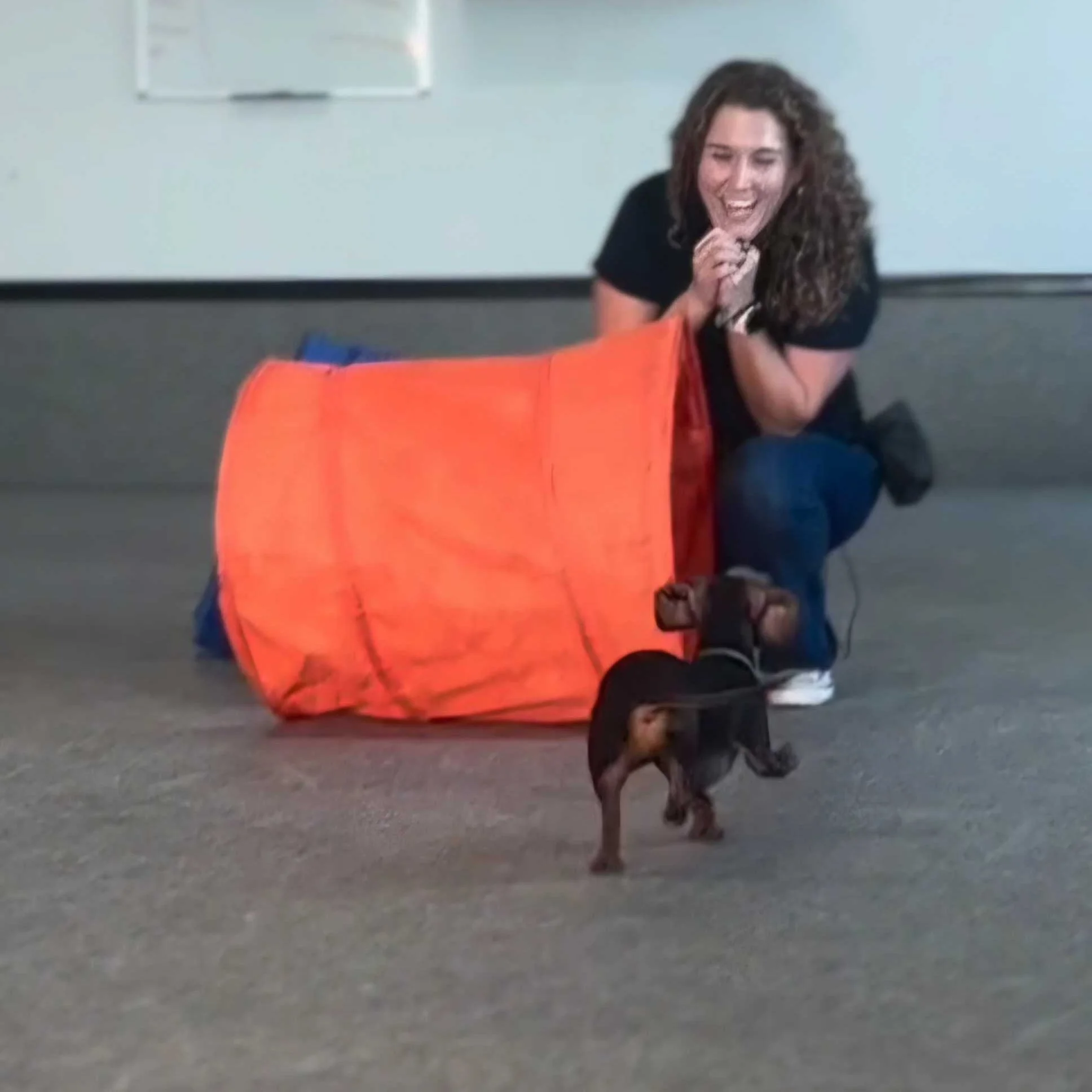 Nikki Nordick certified dog trainer working with a small dog in a private training session in Airdrie Alberta