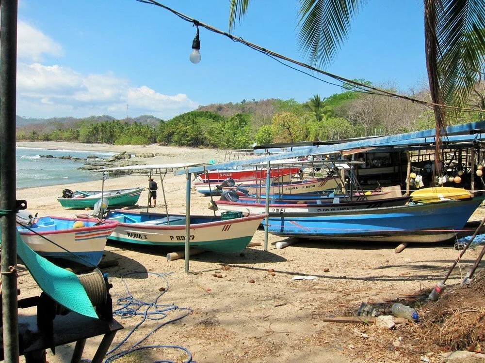 Fishing trips