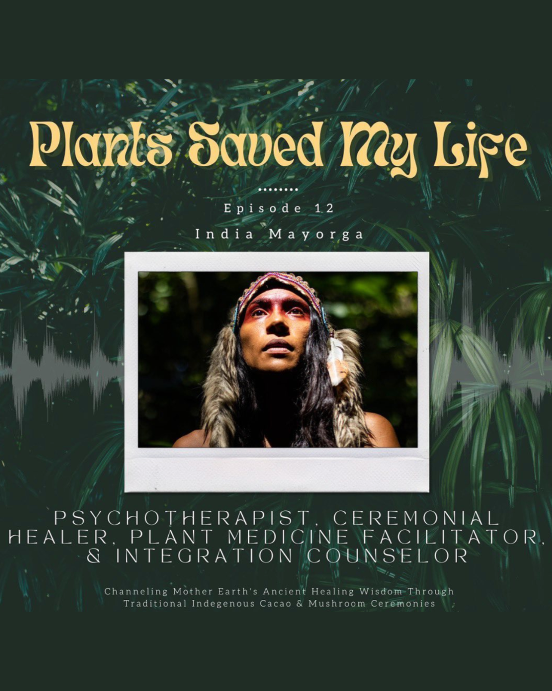 Cacao, Mushrooms and Ceremonial Ancestry