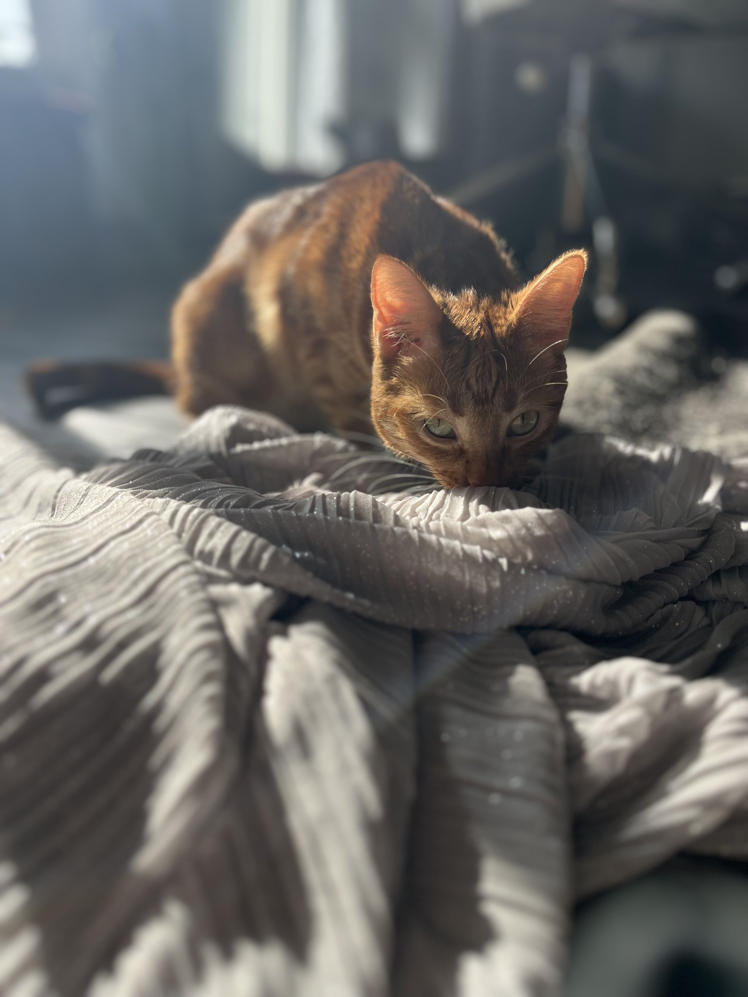IMG_1992.jpeg