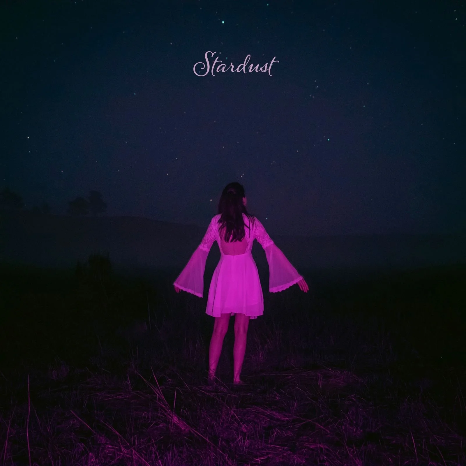 Stardust album art.jpeg