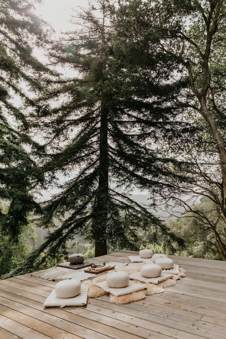 The Subtle Power of Rooted Beginnings. You don't need to reinvent yourself every year.