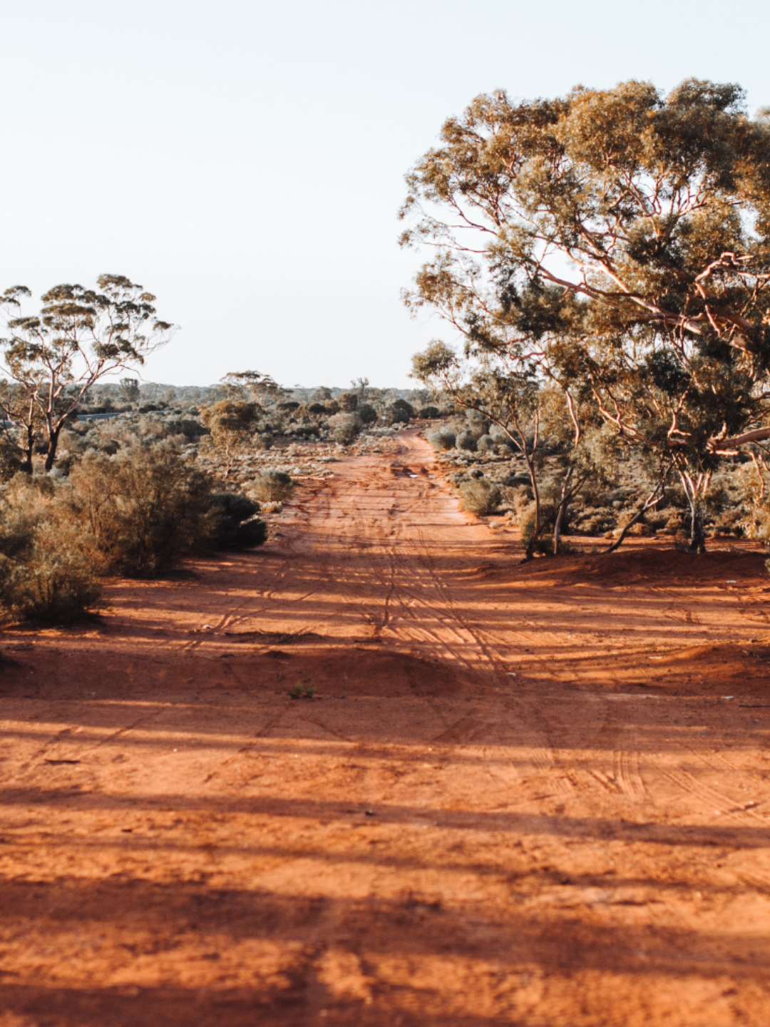 Brand identity and website design for First Australians Capital, creating a contemporary visual identity that supports First Nations economic empowerment and investment.