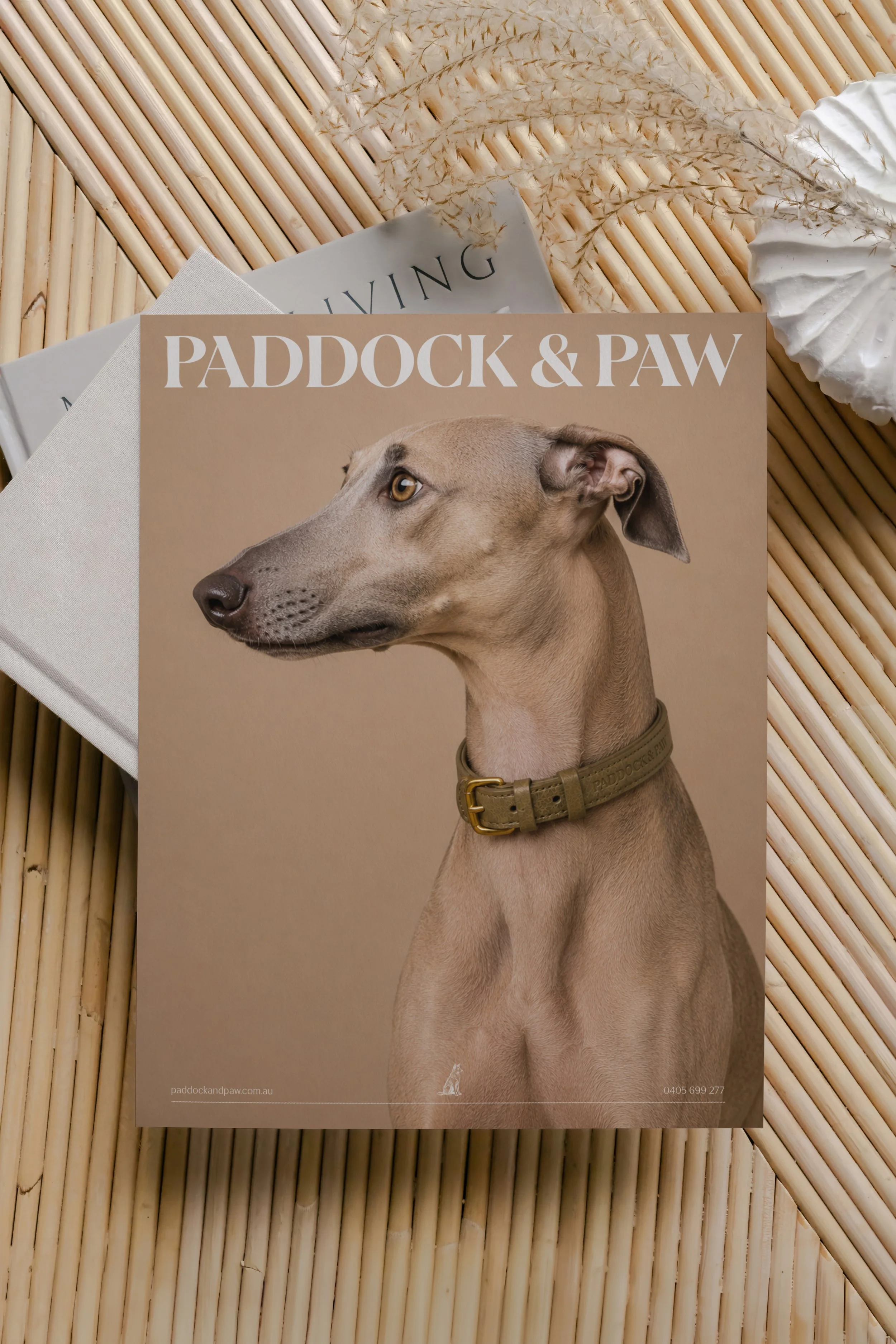 Brochure for Paddock & Paw featuring a portrait of a dog with a tan coat, yellow eyes, and a collar, set against a beige background.