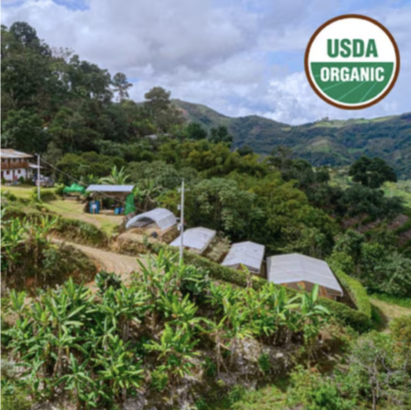 Peru Amazonas Organic Decaf