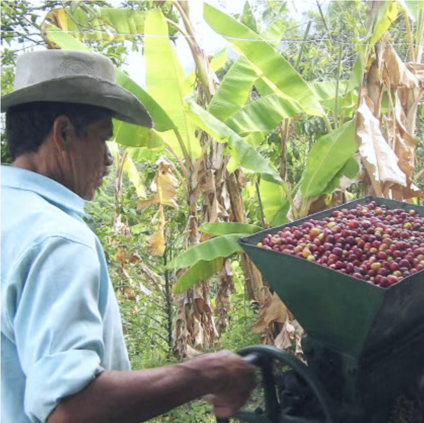 Screenshot 2026-04-15 at 3.01.51 PM.png