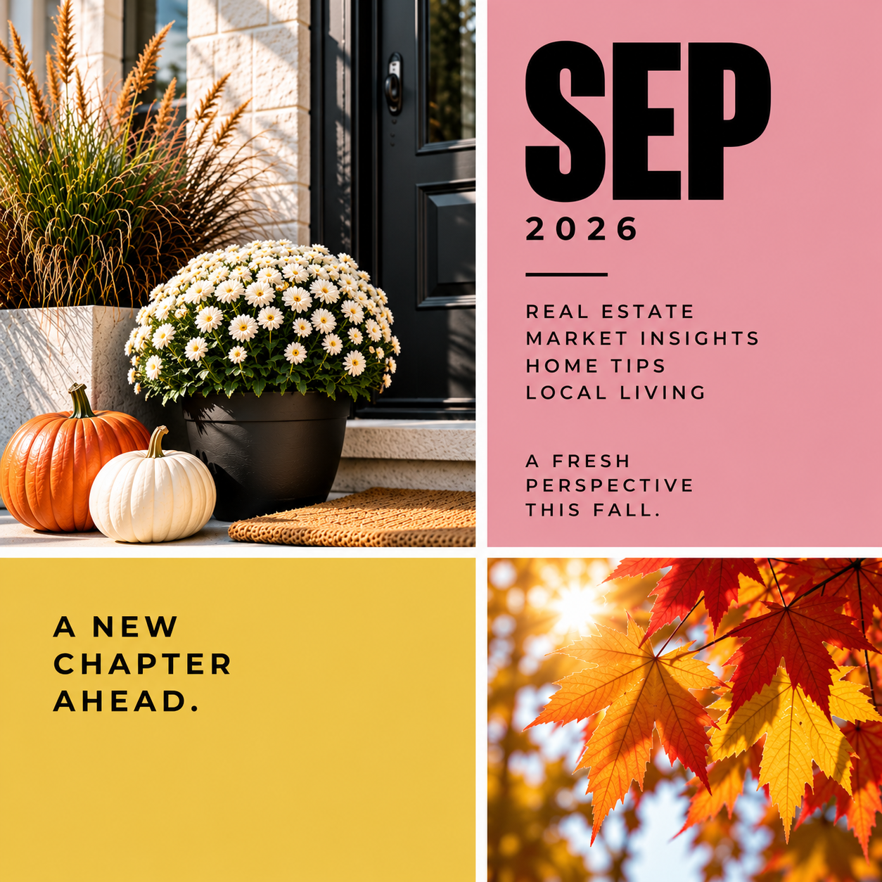 Market Update: September 2026 
