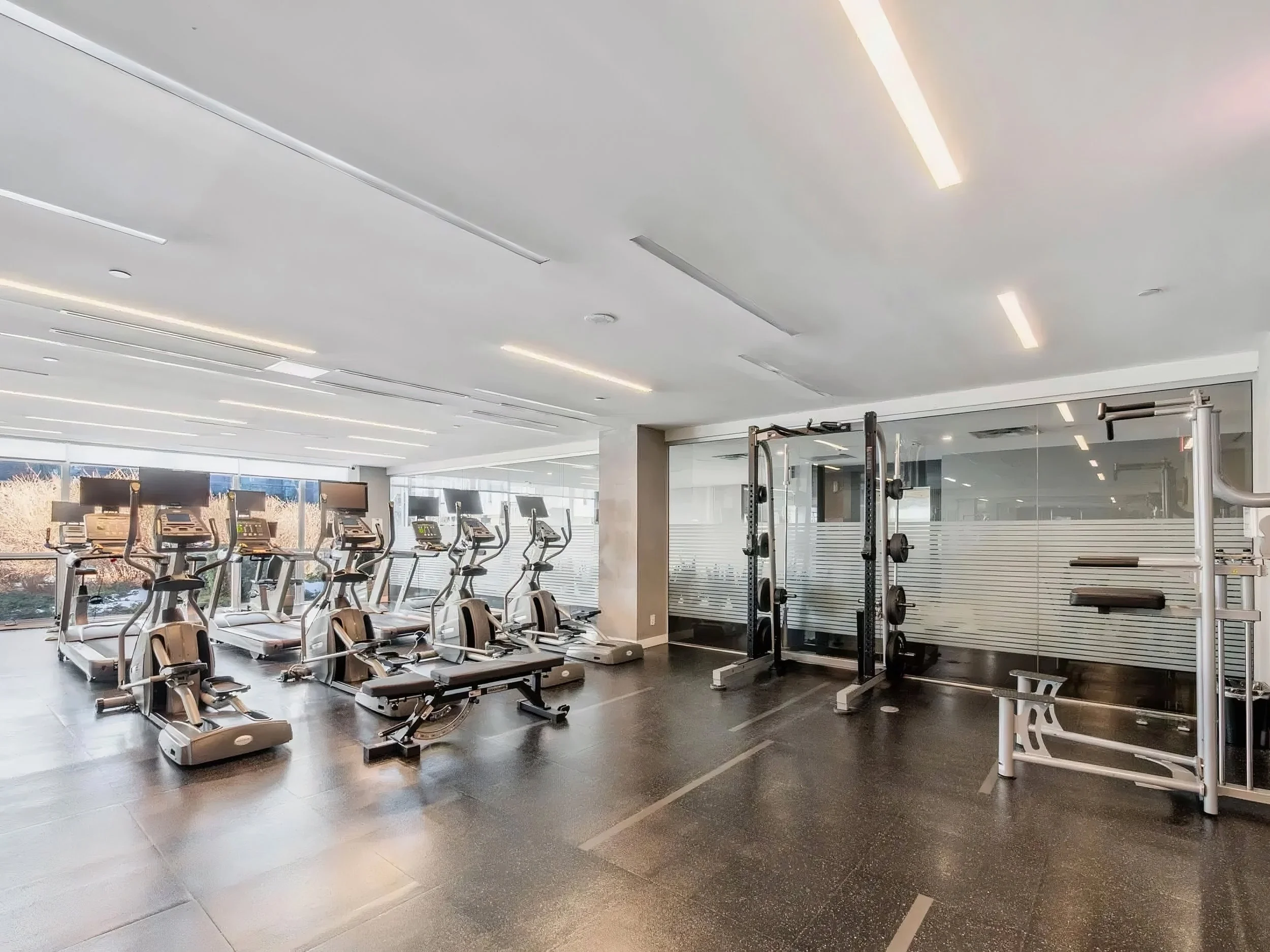55 Regent Park - Weight Room_upscale.jpeg