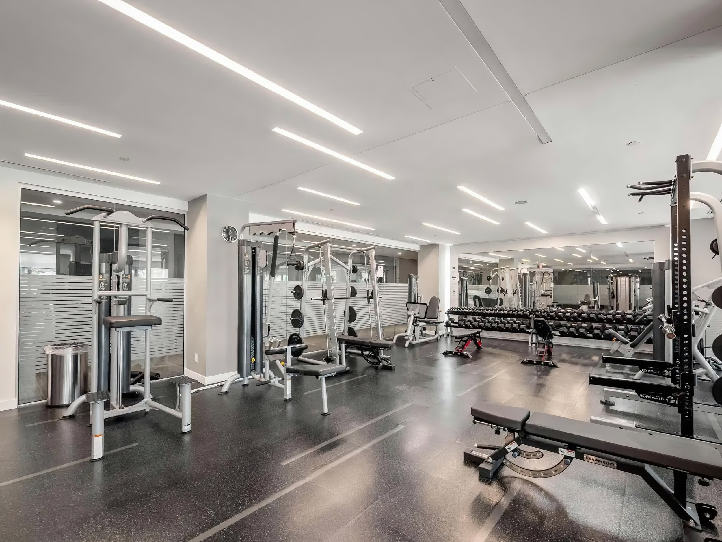 55 Regent Park Gym_upscale 2.jpeg