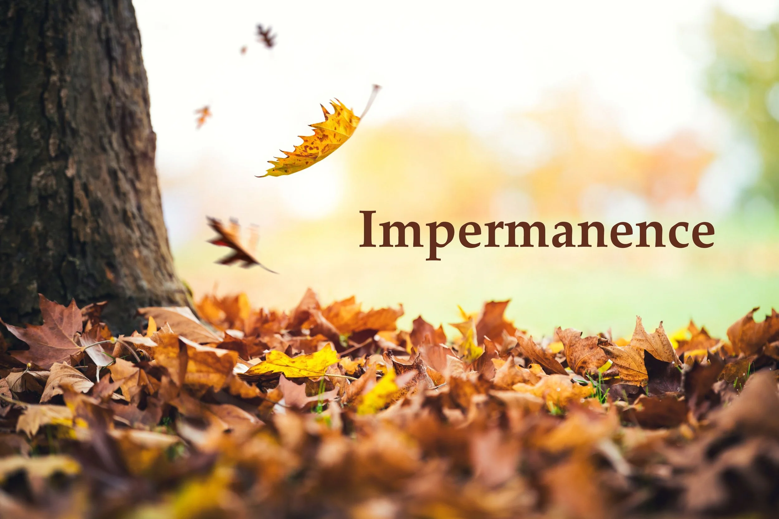 PREMA JYOTHI - Newsletter of the Prema Trust and Sacred Earth Community – April 2026