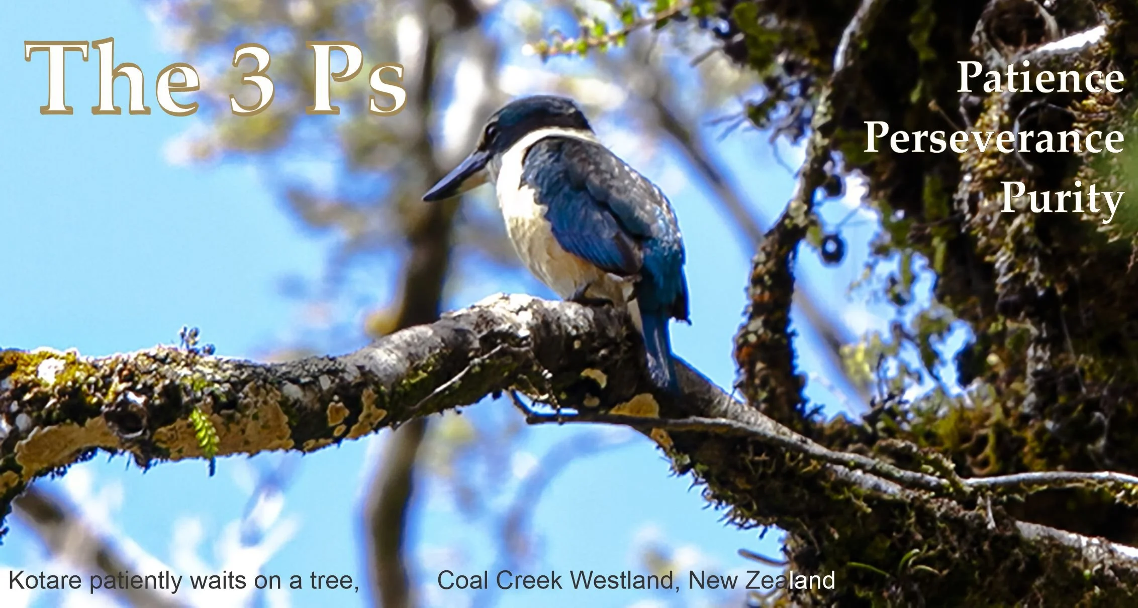 PREMA JYOTHI - Newsletter of the Prema Trust and Sacred Earth Community – July 2026 