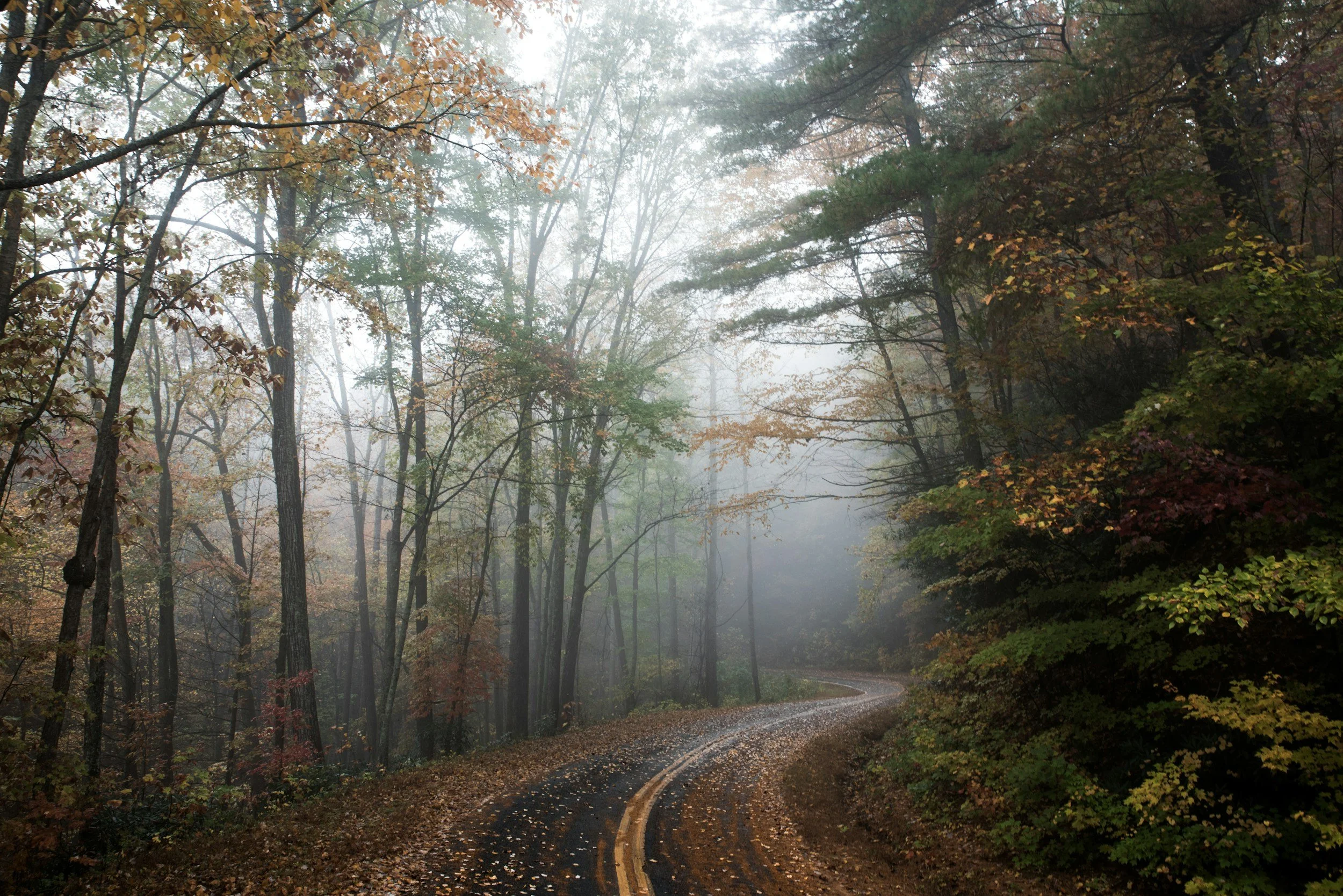 Best Places to Stay in North Carolina in December