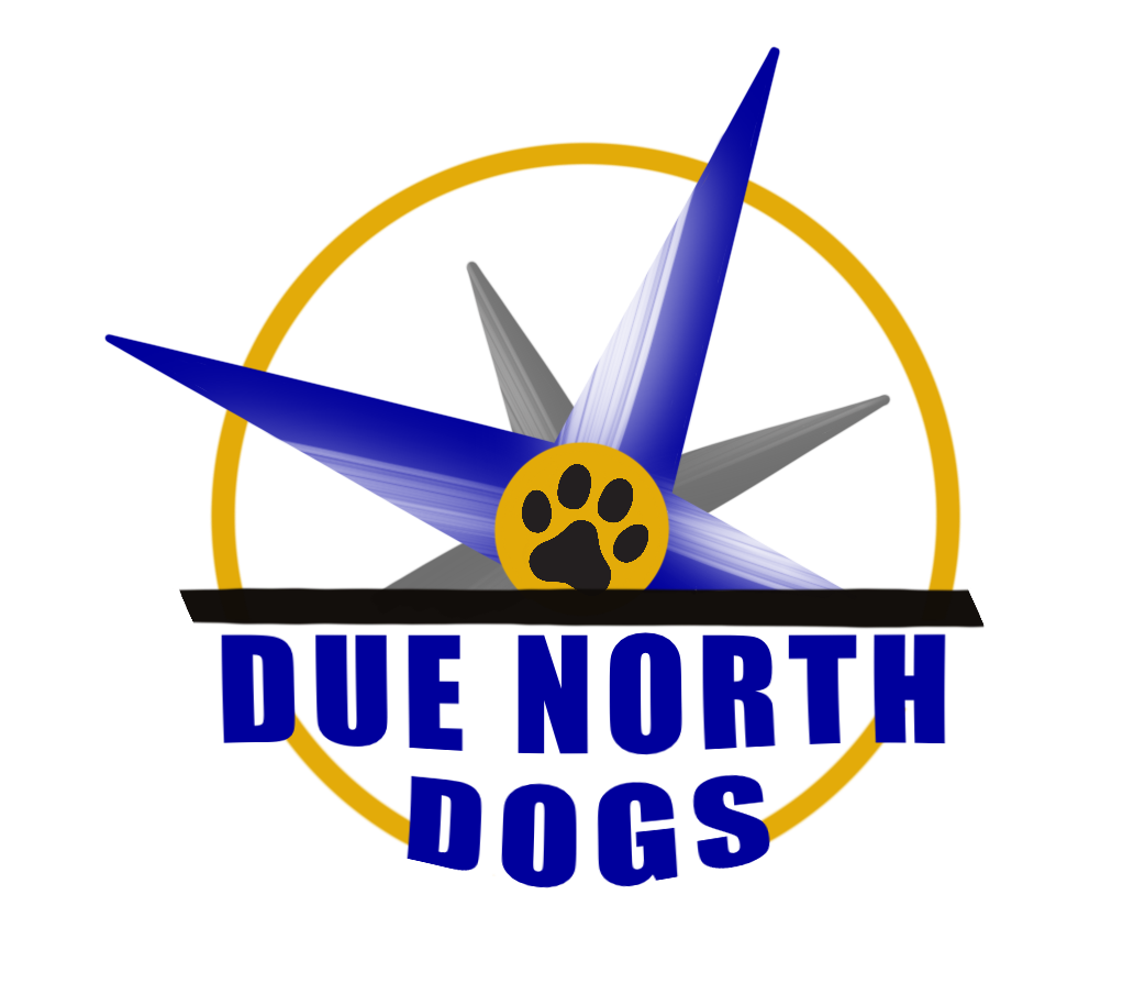 Due North Dogs
