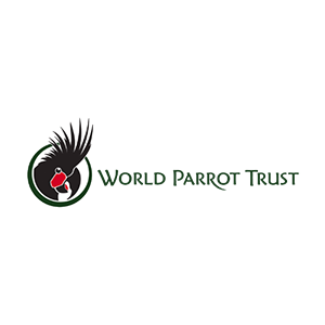 Parrot.png