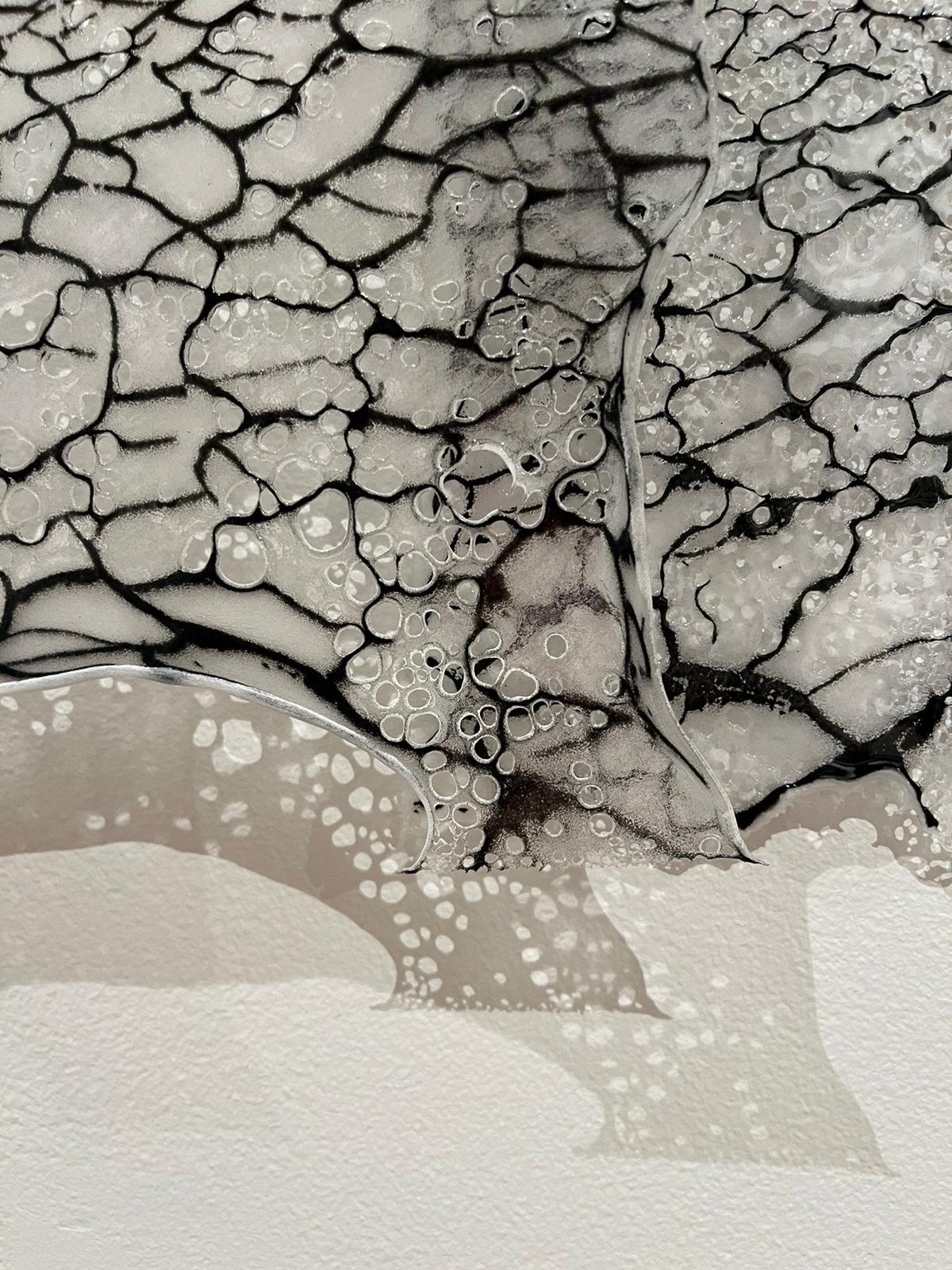 WhatsApp Image 2024-04-26 at 9.55.06 PM (2).jpeg