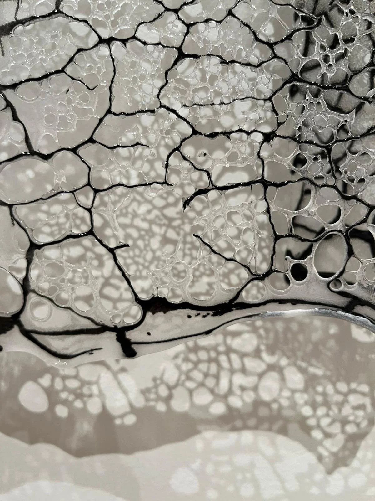 WhatsApp Image 2024-04-26 at 9.55.06 PM (1).jpeg