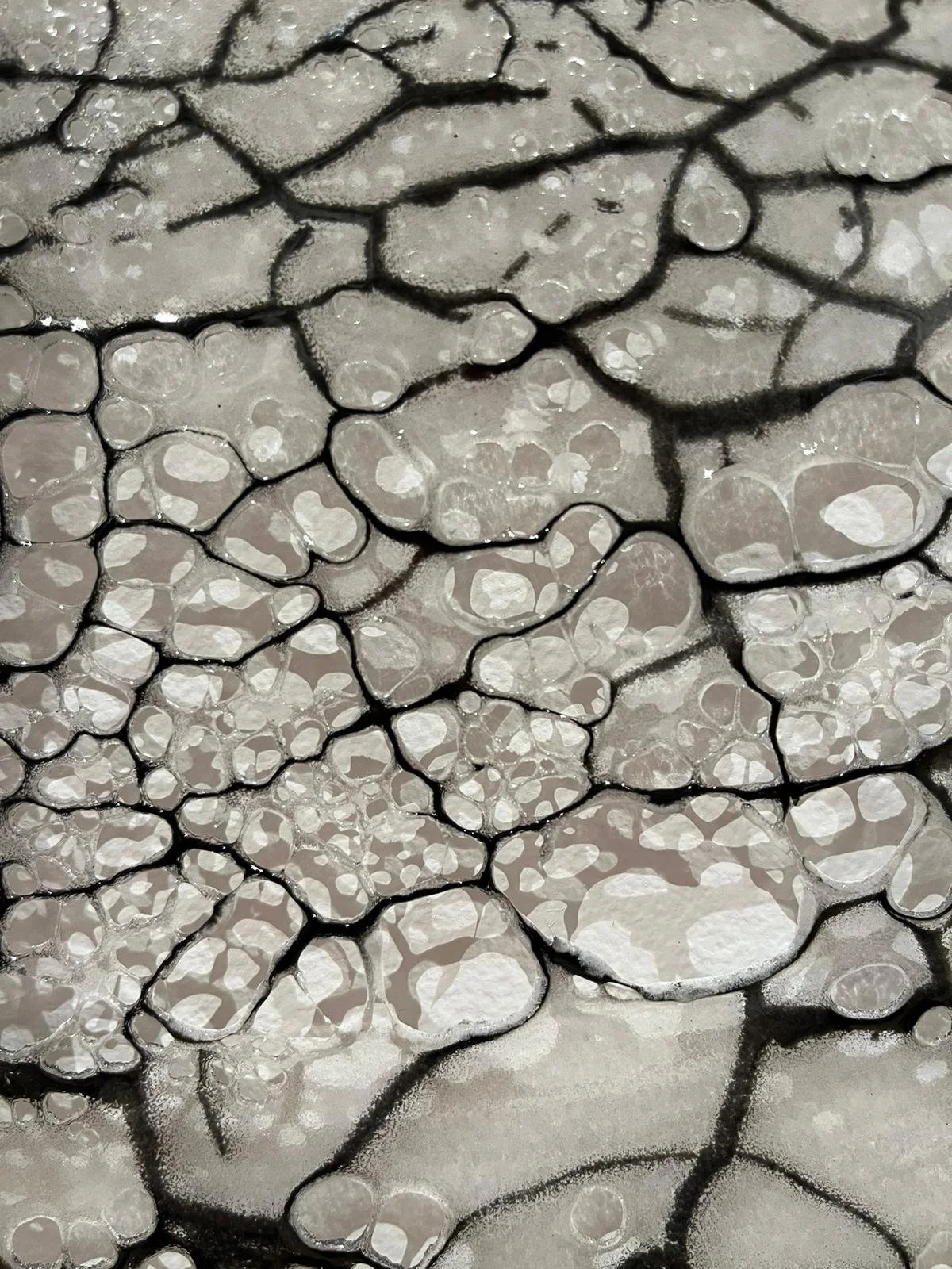 WhatsApp Image 2024-04-26 at 9.55.06 PM.jpeg