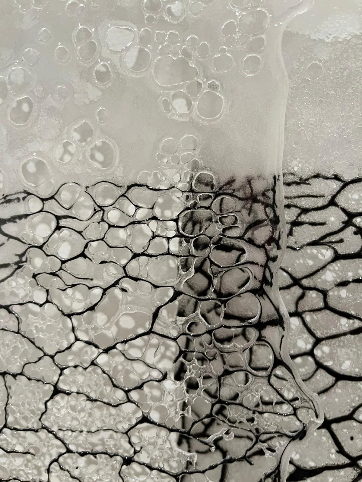 WhatsApp Image 2024-04-26 at 9.55.07 PM.jpeg