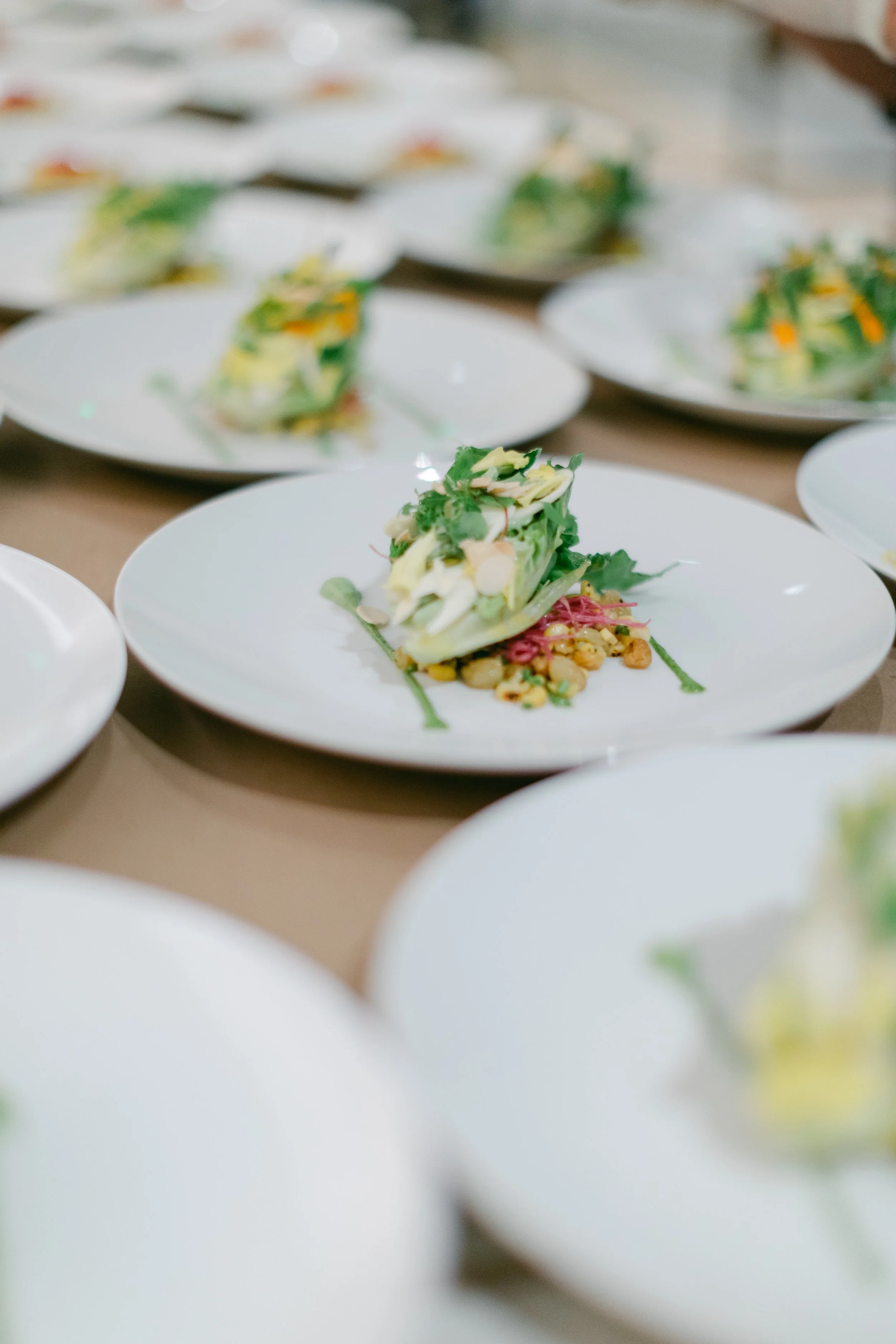 Multiple plates of gourmet salad with greens and toppings on a table.