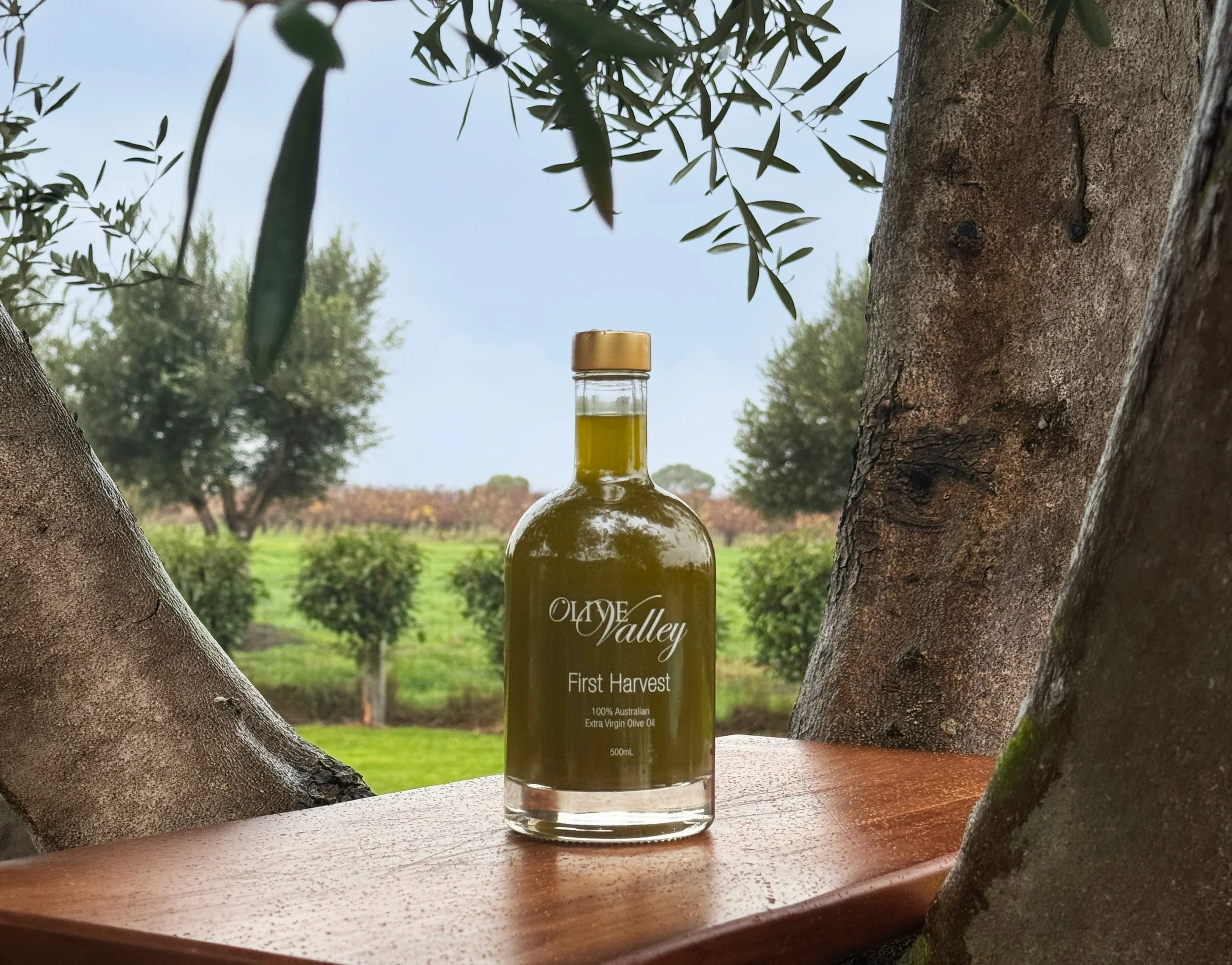 2026 May First Harvest – 100% Extra Virgin Olive Oil