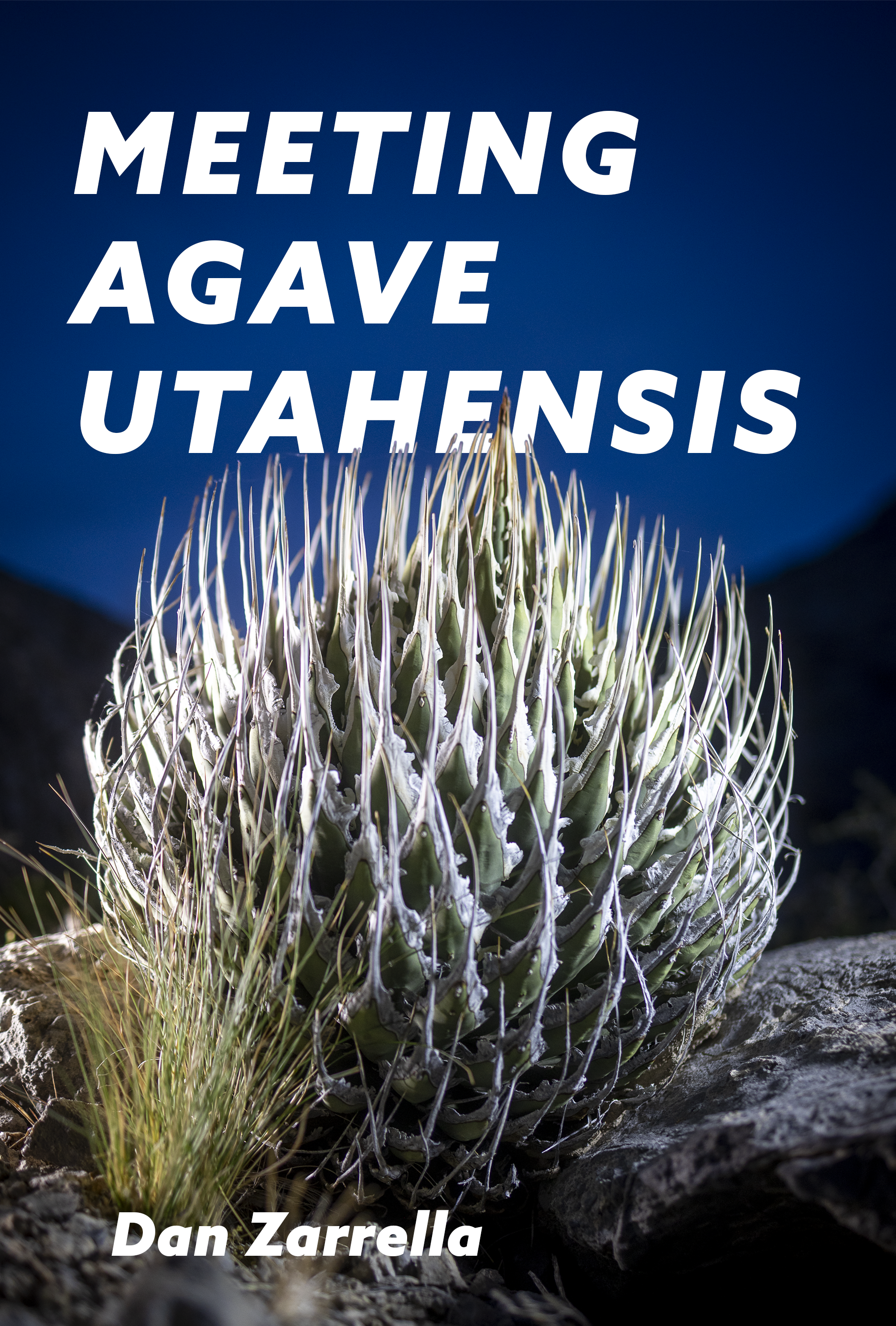 Meeting Agave Utahensis (Signed First Edition Monograph Pre-Order)