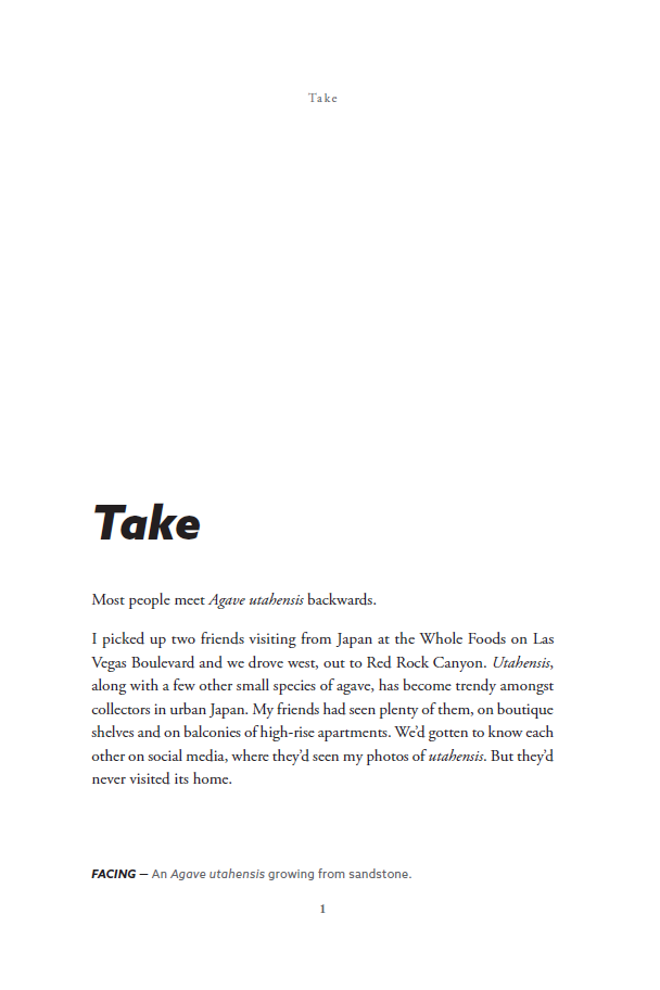 page2.png