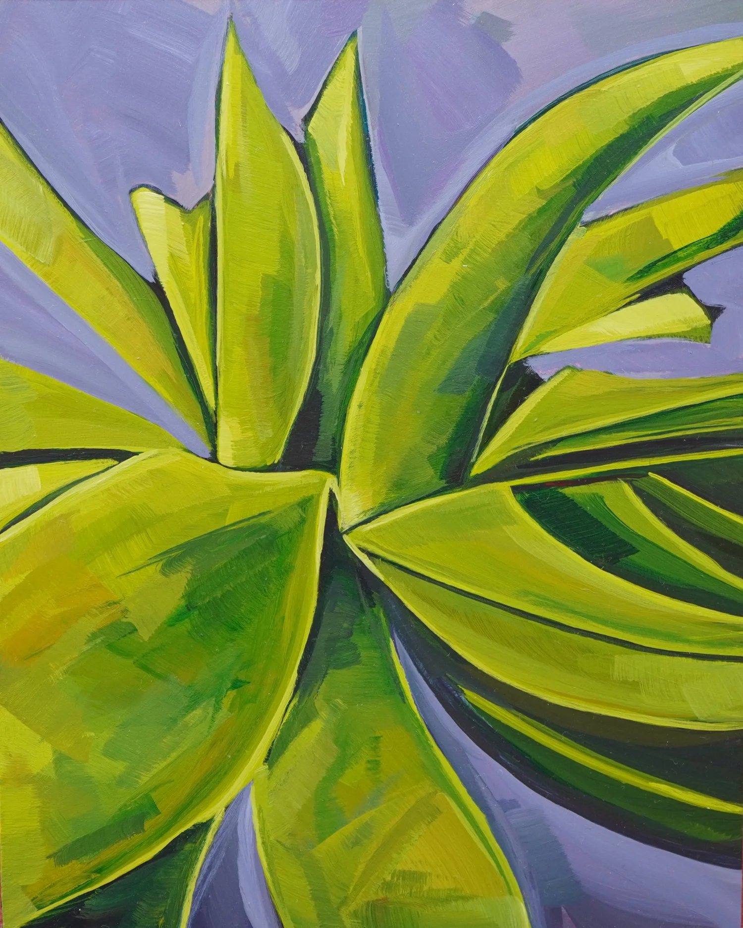 Agave  Katie Hoogland Art