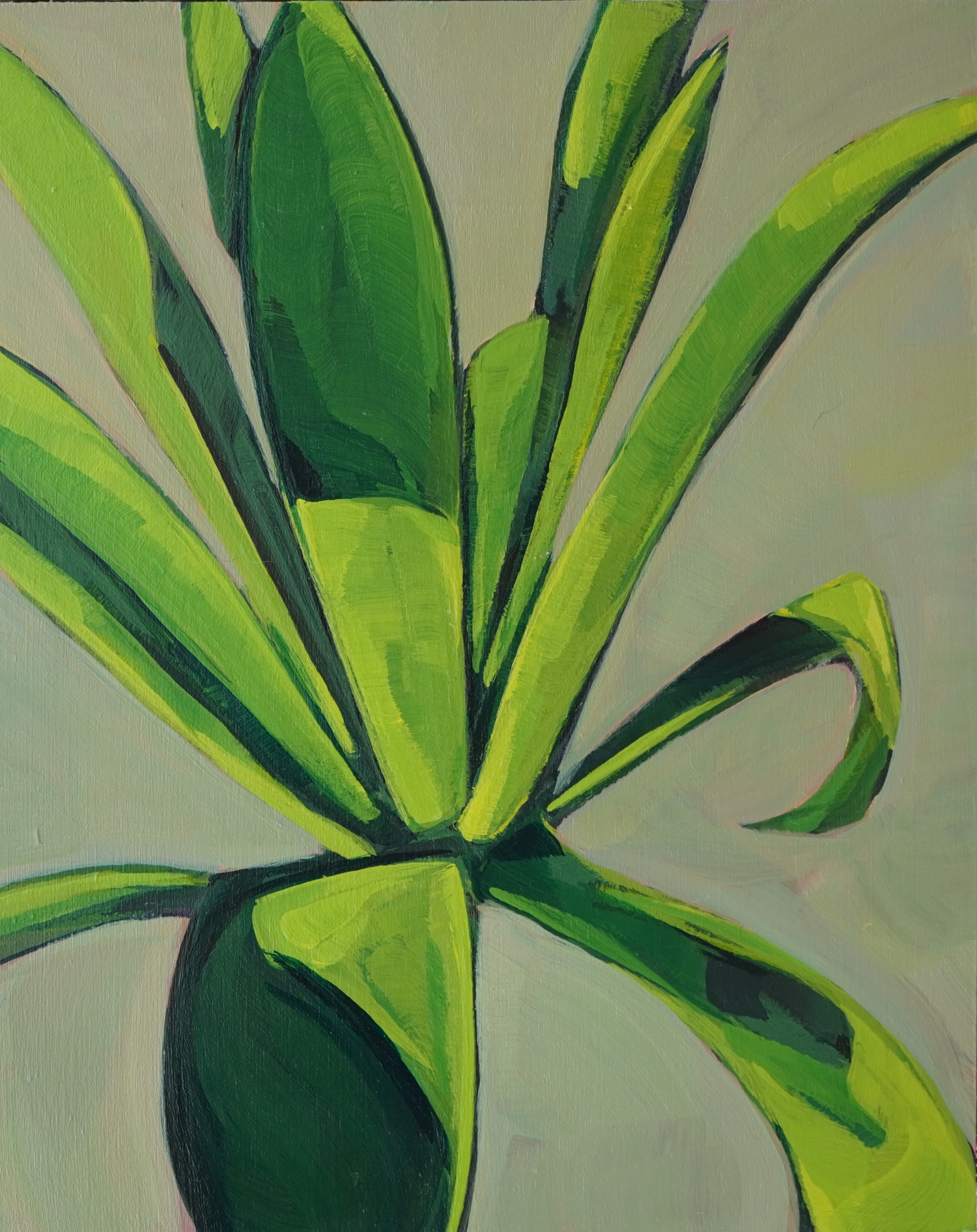 Aloe in Bloom  Katie Hoogland Art