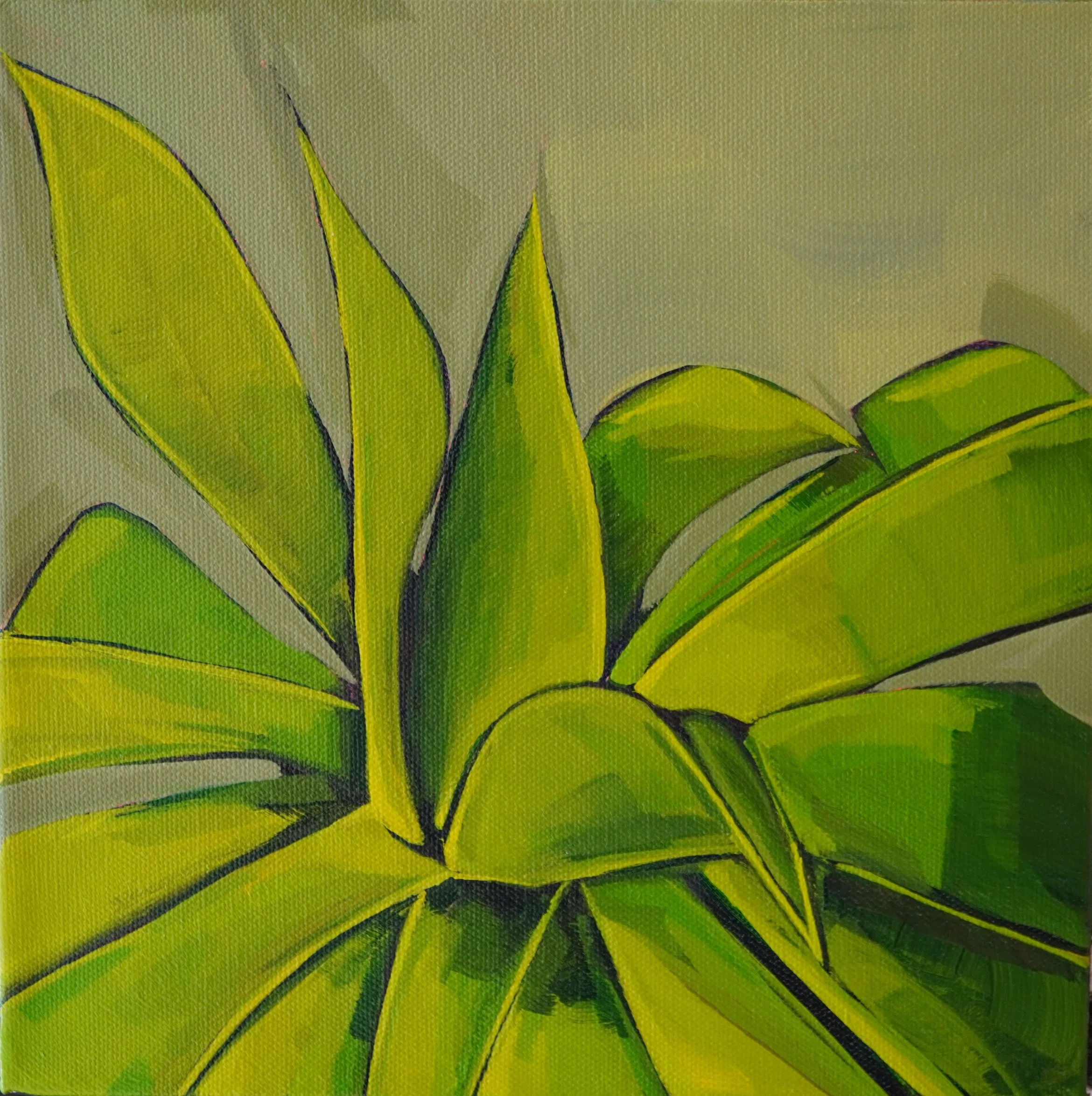 octopus agave .jpg