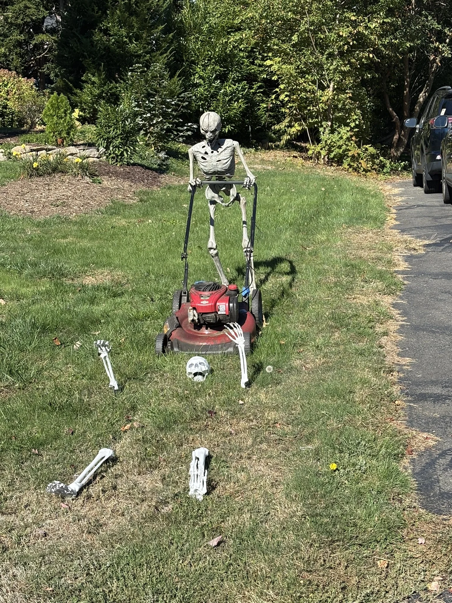In Praise of Skeletons on the Lawn
