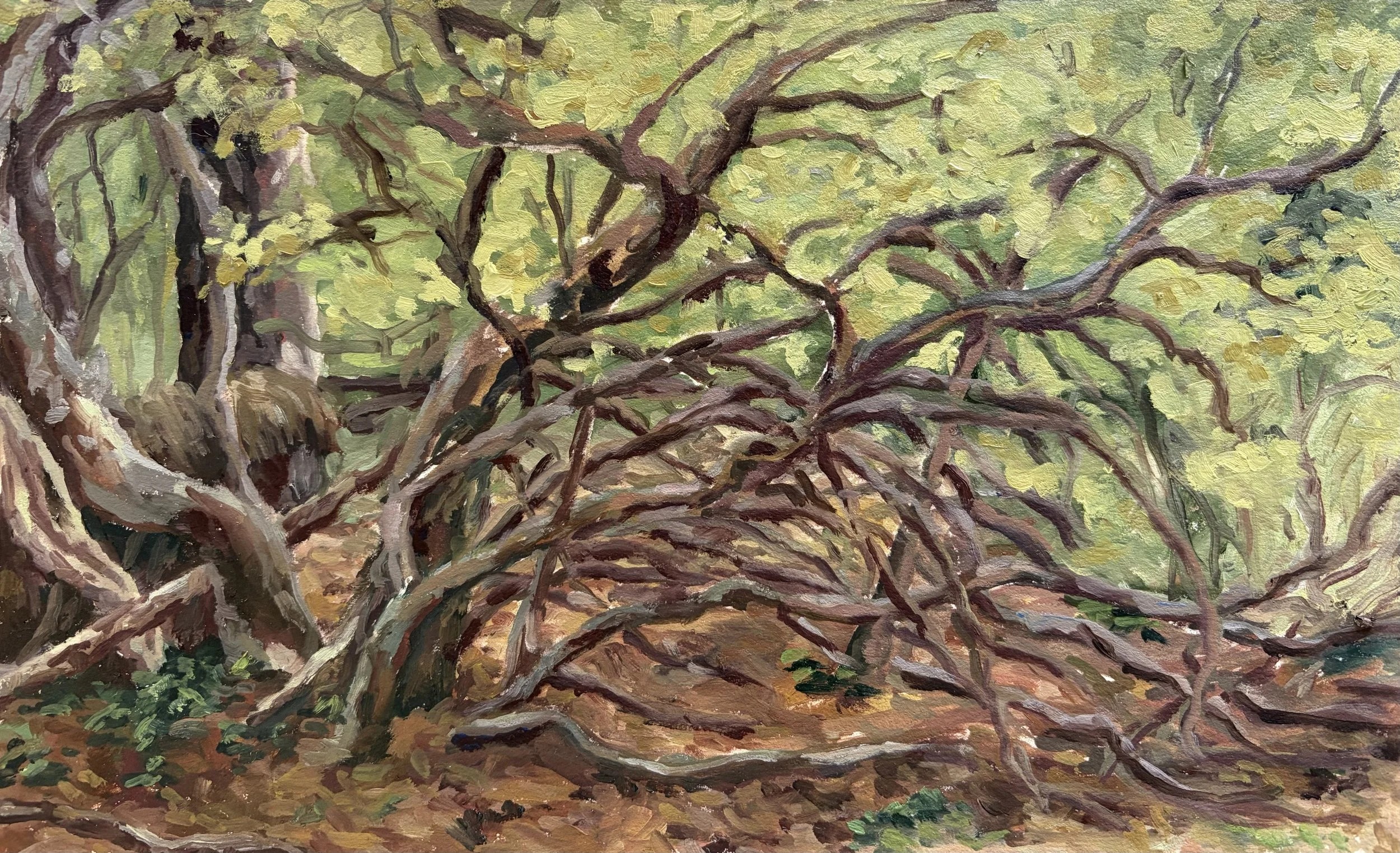 Shelter, 2026, Oil on paper - 9 x 12 in