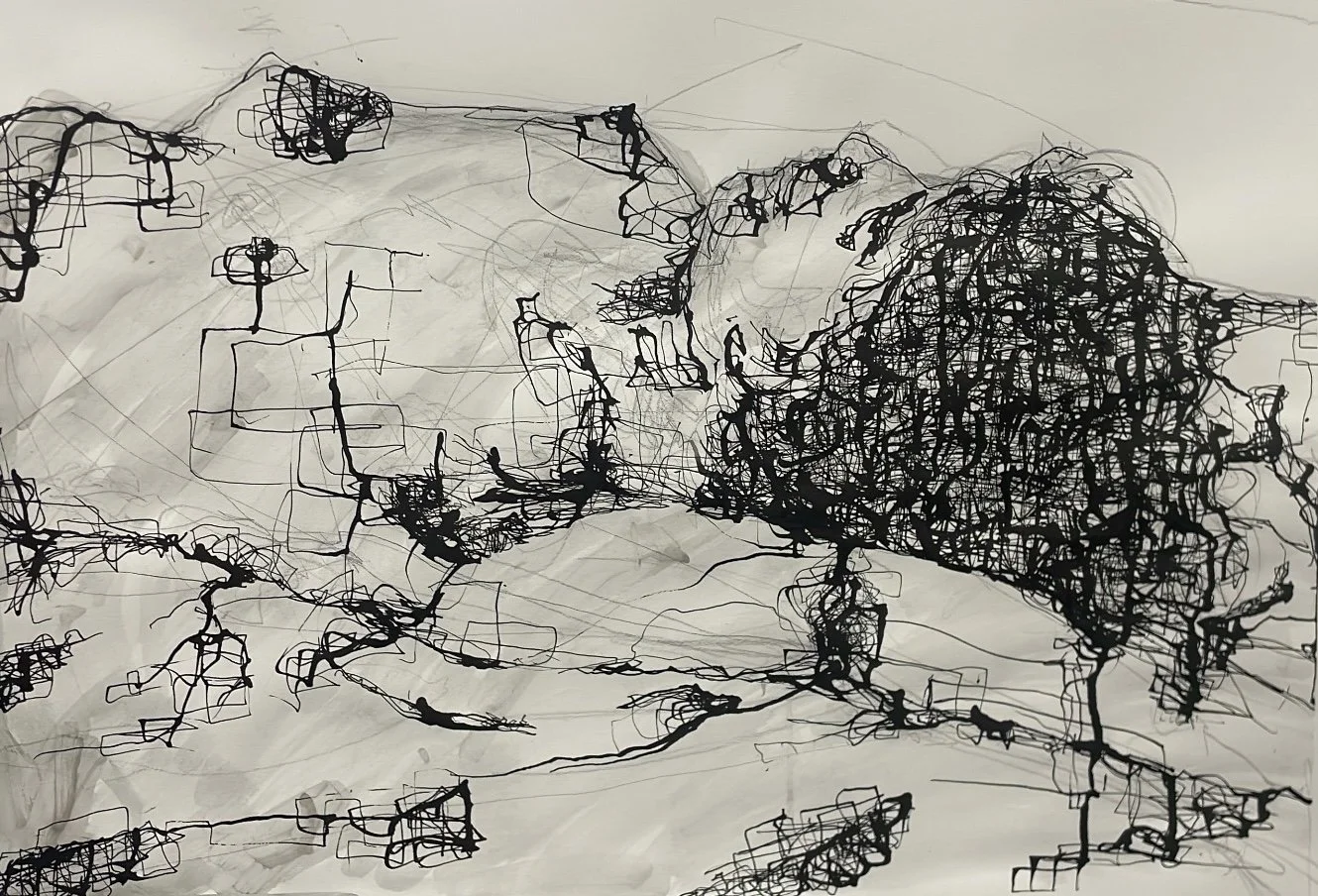 Instrument, 2025, Ink on paper - 30 x 24 in