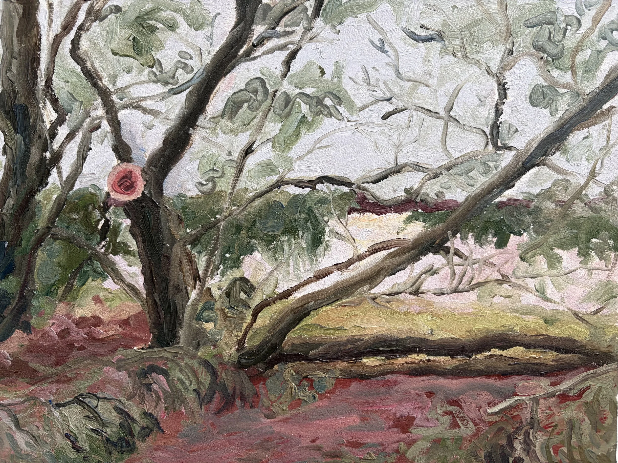 Rings, 2026, Oil on paper - 9 x 12 in