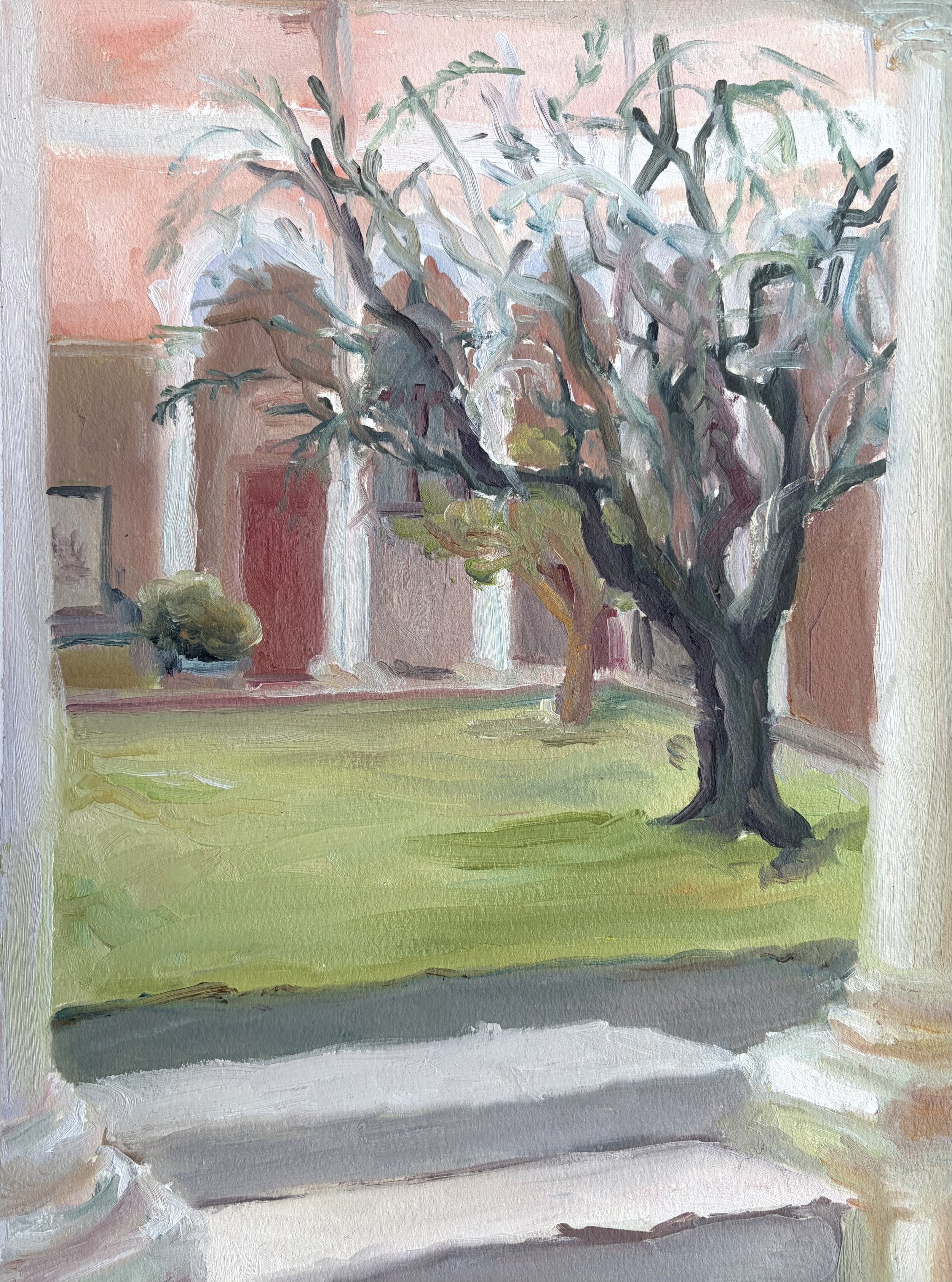 Olive Tree, 2026, Oil on paper - 12 x 9 in