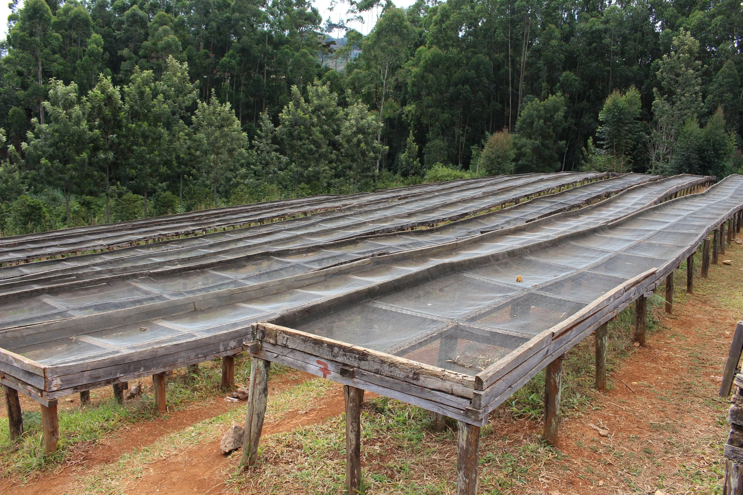 Kiruru Factory (15).JPG