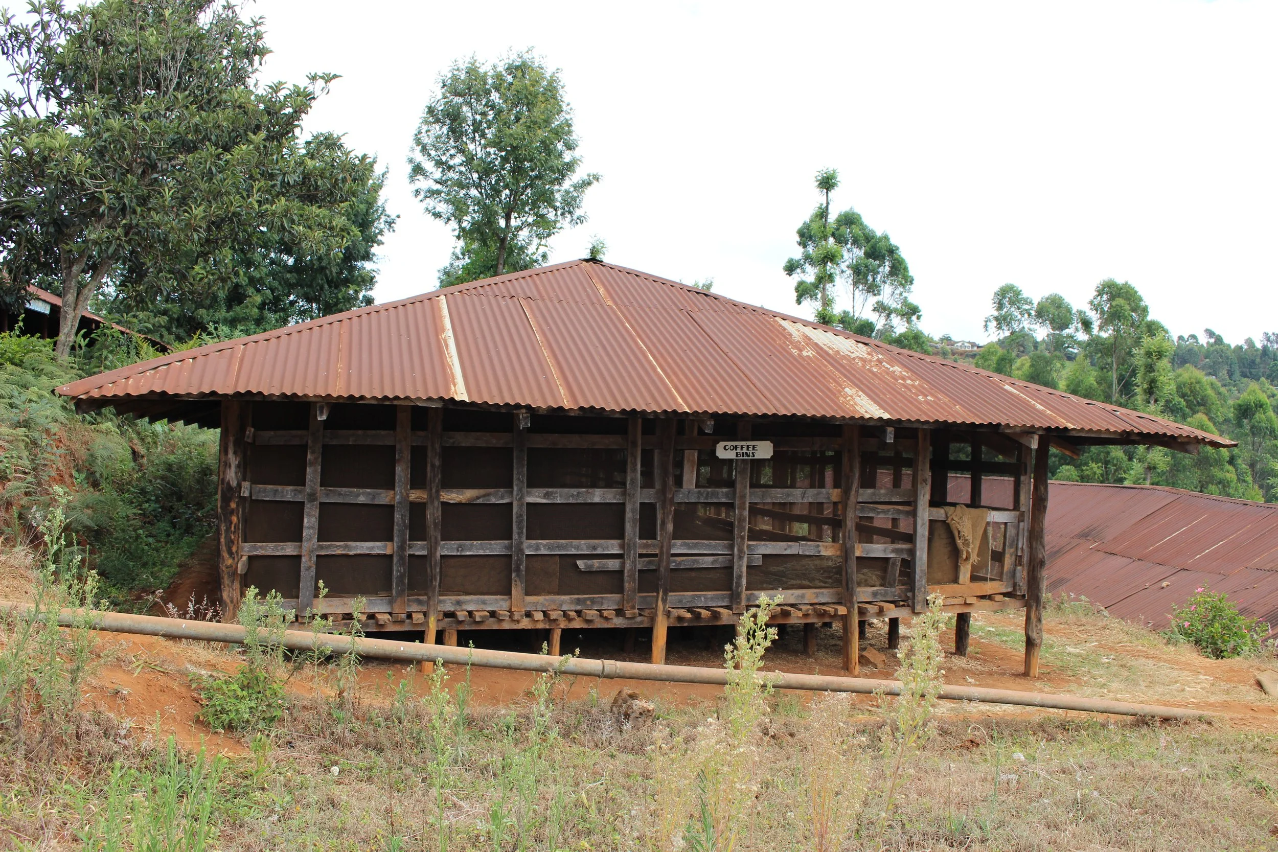 Kiruru Factory (8).JPG