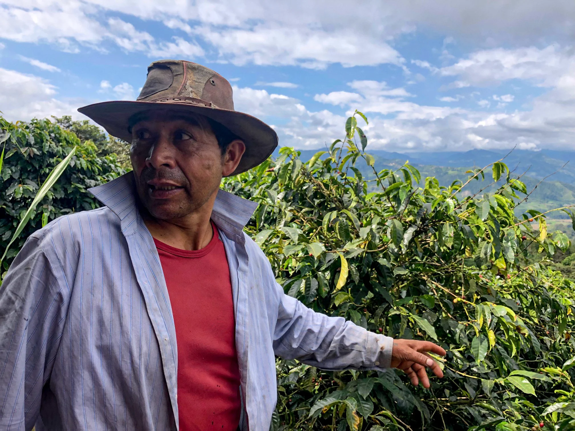 Cafe_Imports_Ecuador_Fausto_Romo-1-2021-11-09-151843.jpg