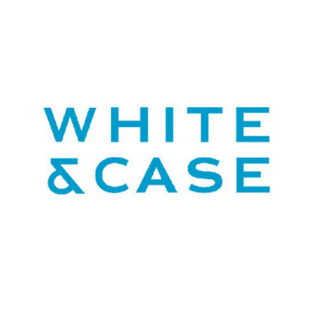 White-Case.png