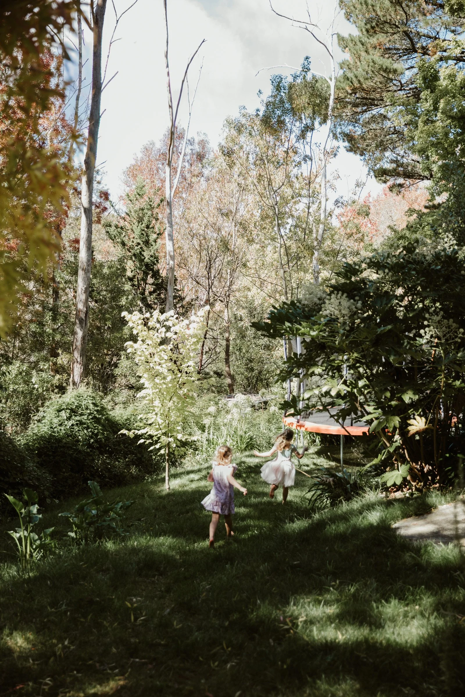 adelaide-family-photographer-kids-exploring-nature.jpg