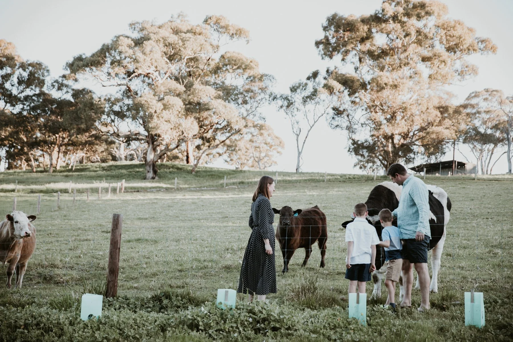 230915_Jackson Family_445.JPG