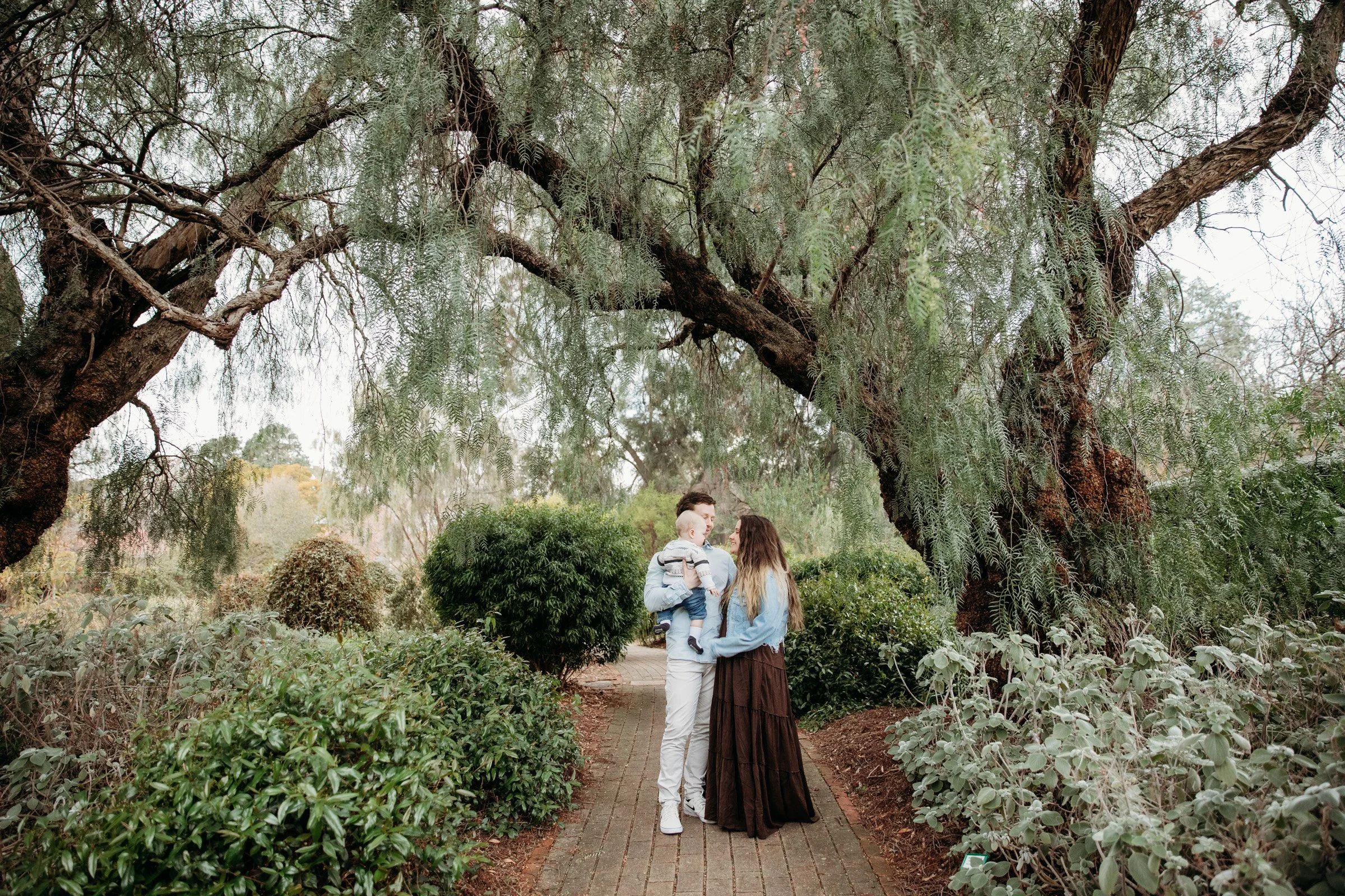 adelaide-maternity-photographer-family-under-tree.jpg